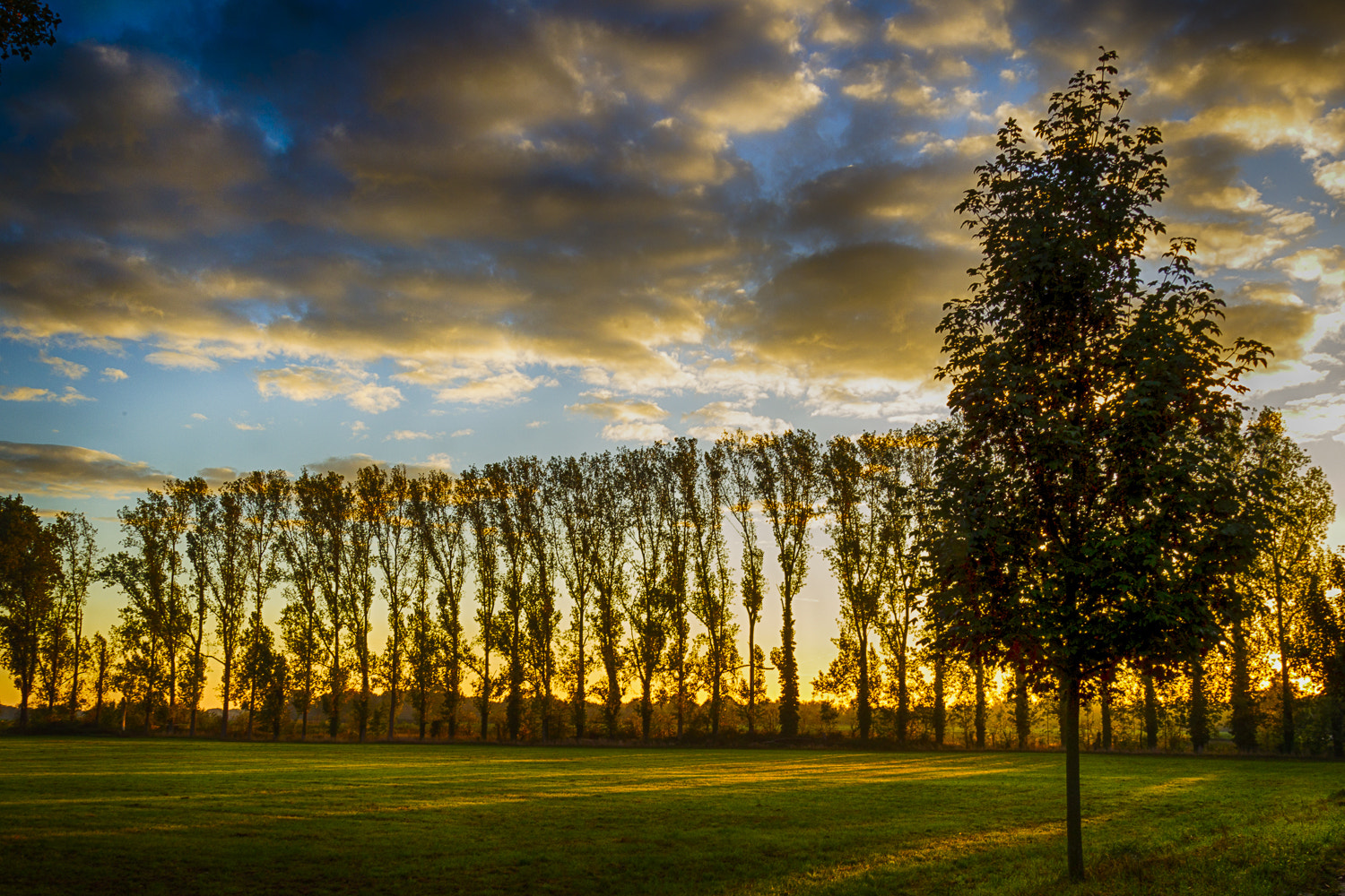 Canon EOS-1D Mark IV sample photo. Sonnenaufgang niesraue photography