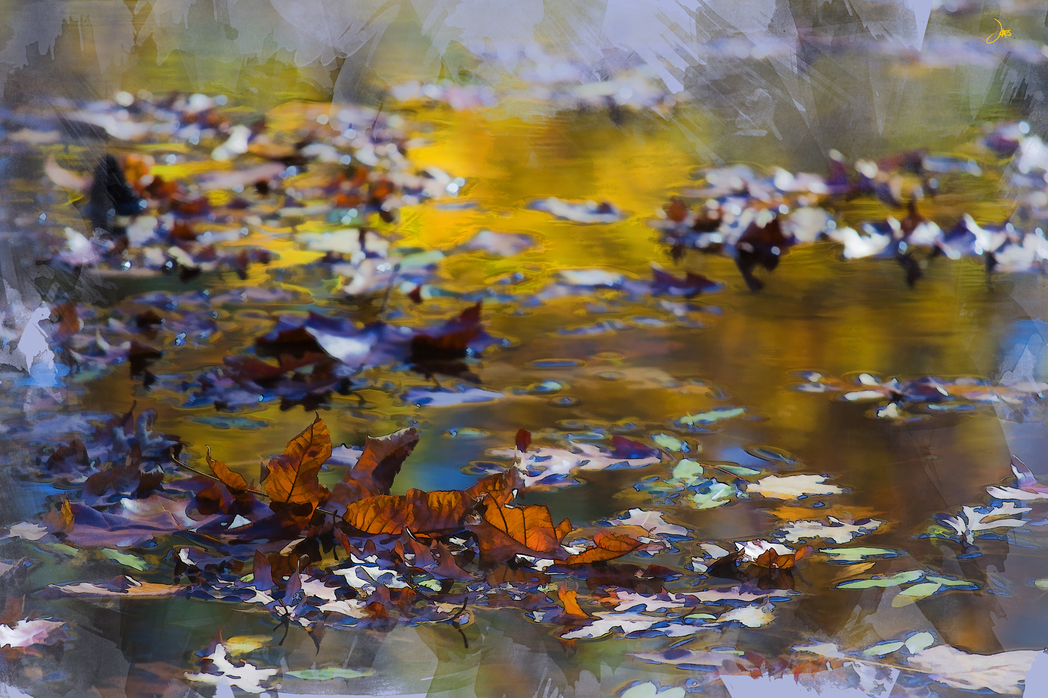 Canon EOS 50D + Canon EF 70-200mm F4L IS USM sample photo. Autumn voyage photography