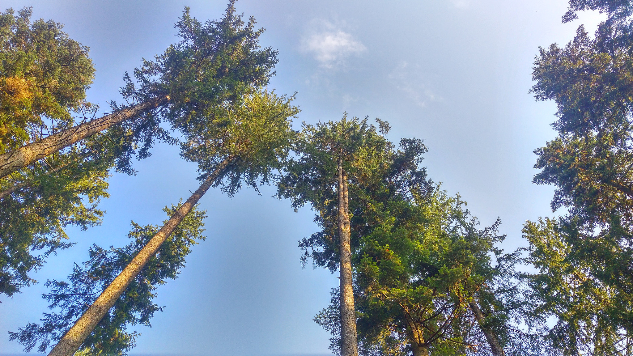 HTC M9 sample photo. High photography