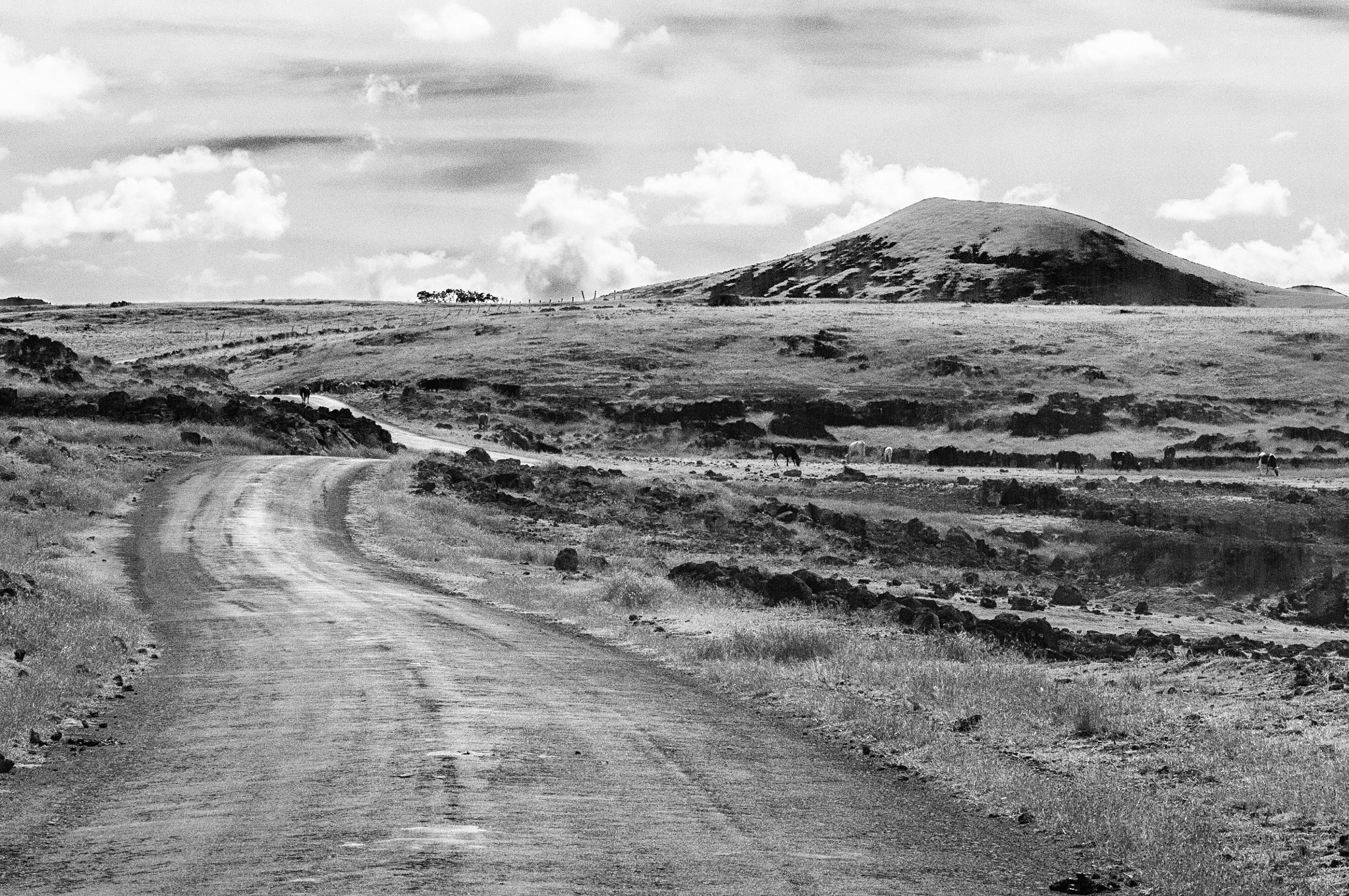 Nikon AF-Nikkor 80-200mm F2.8D ED sample photo. Easter island photography