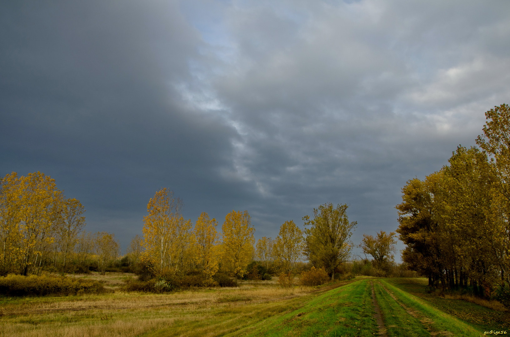 Nikon D5100 + Sigma 18-250mm F3.5-6.3 DC OS HSM sample photo. Ősz a zagyva parton / autumn in the river zagyva photography