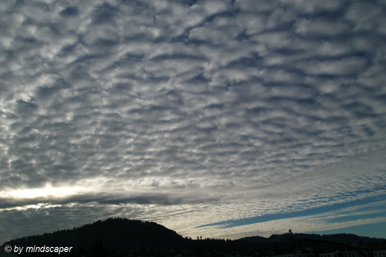 Tri-Elmar-M 28-35-50mm f/4 ASPH. sample photo. Octobersky in the morning photography