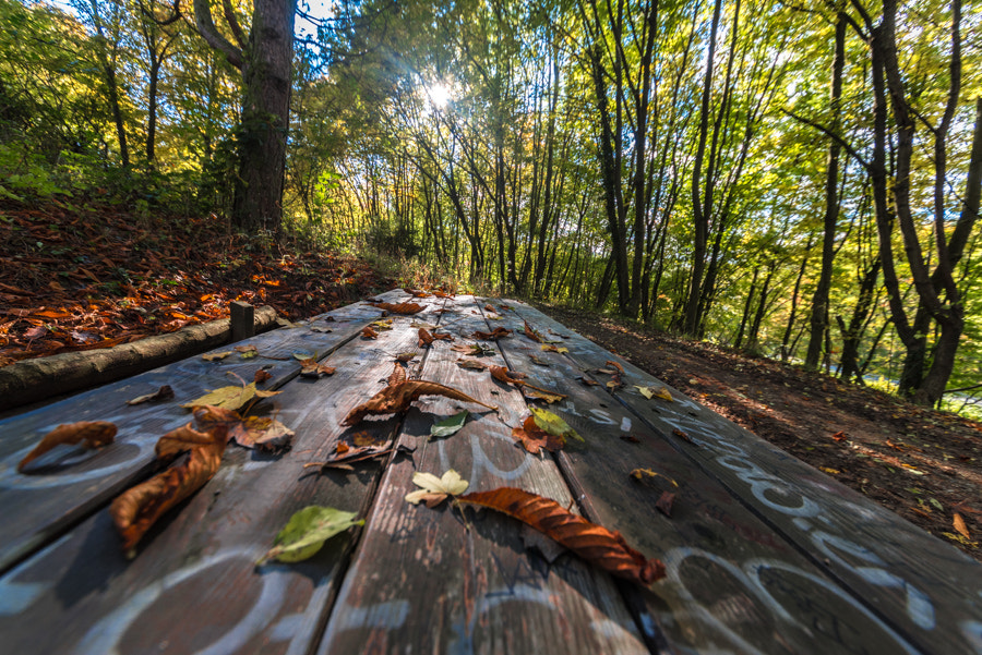 Sigma 12-24mm F4.5-5.6 II DG HSM sample photo. Wood table art photography