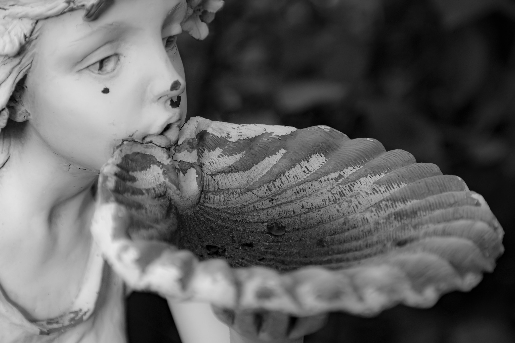Canon EOS 100D (EOS Rebel SL1 / EOS Kiss X7) sample photo. Dry fountain bw photography