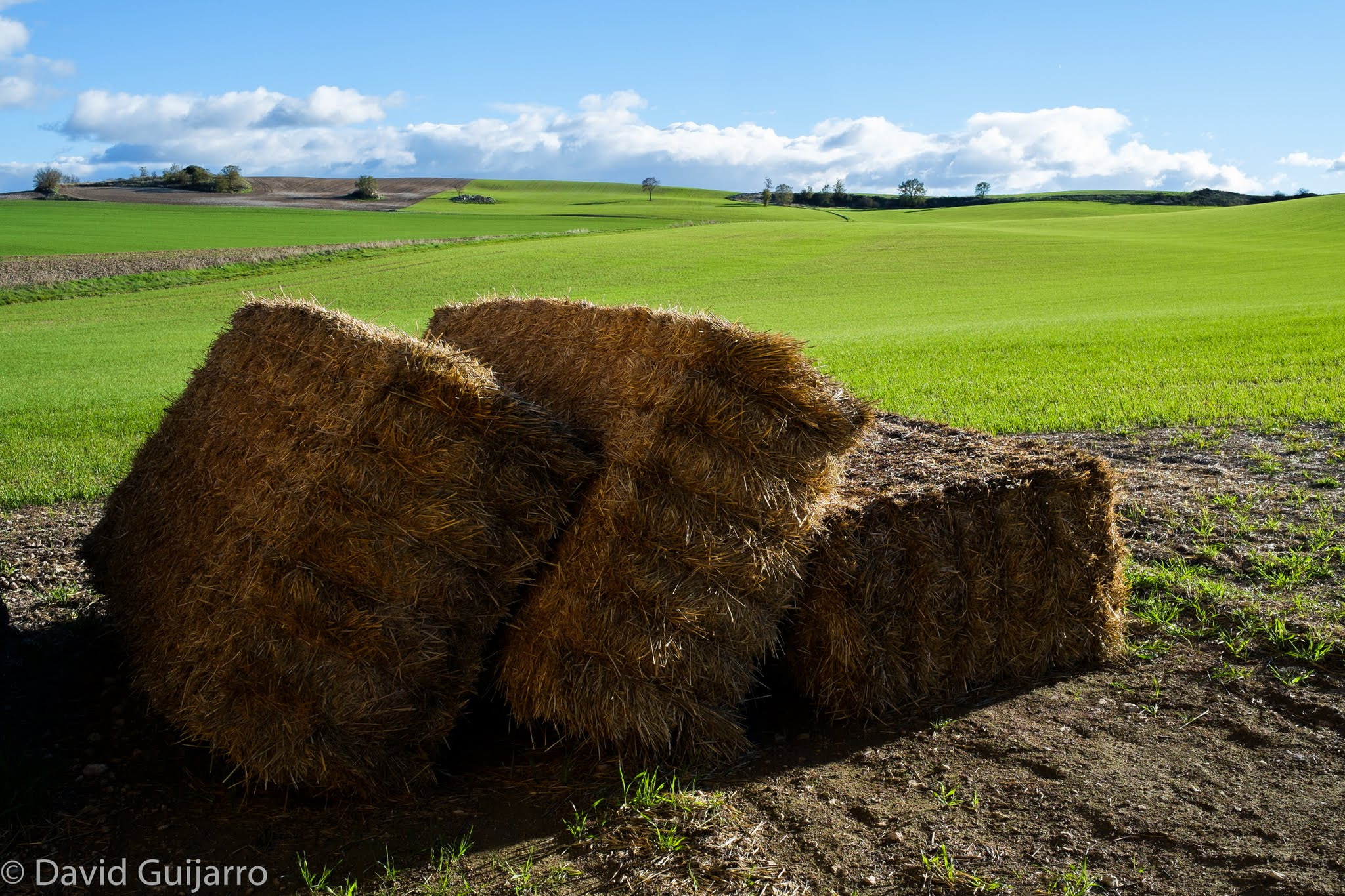 Fujifilm X-Pro1 + Fujifilm XF 23mm F1.4 R sample photo. Campos de castilla photography