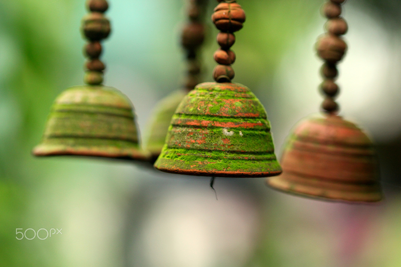 Canon EF 100mm F2.8 Macro USM sample photo. Bells photography