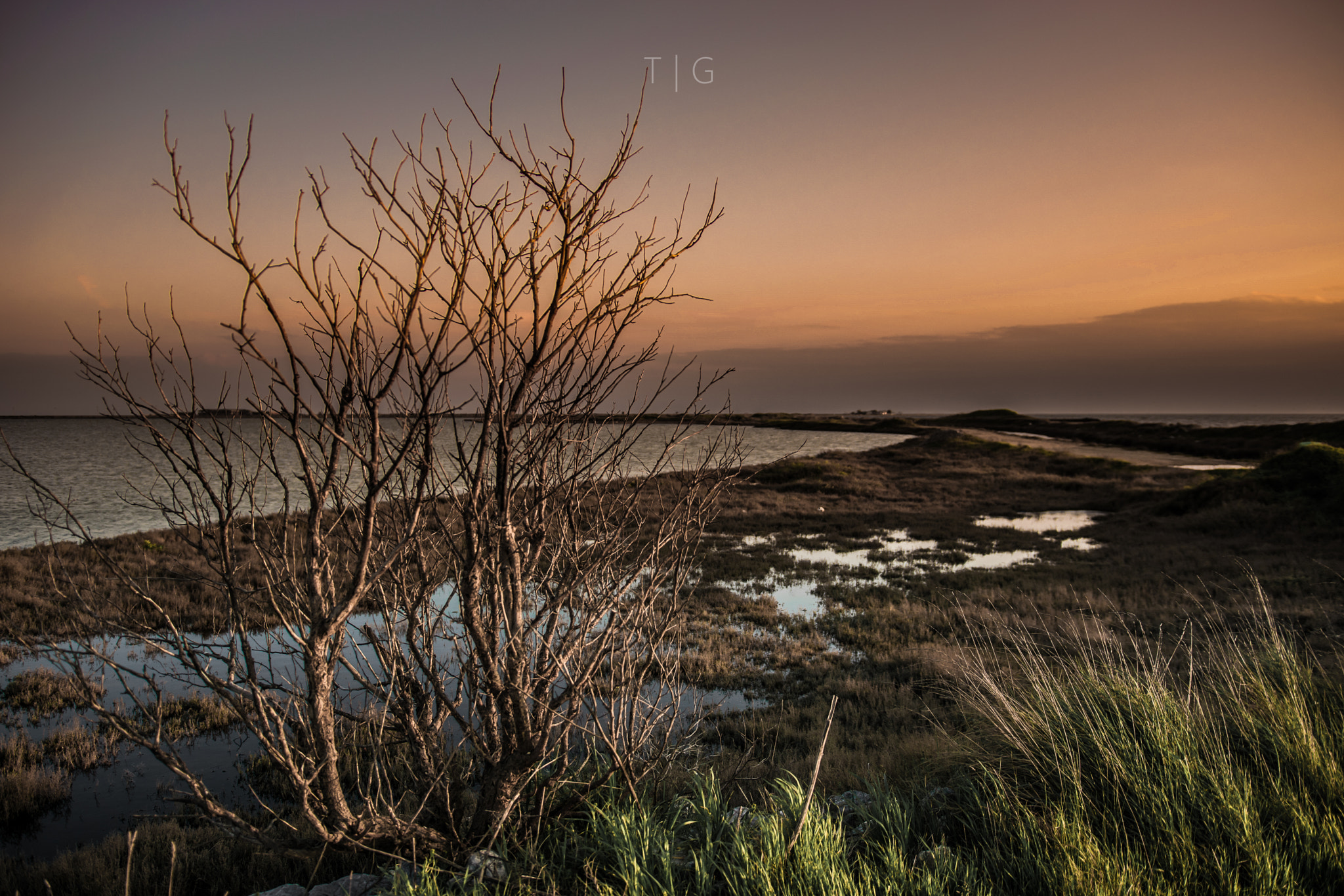 Nikon D3300 + Sigma 18-35mm F1.8 DC HSM Art sample photo. No life photography