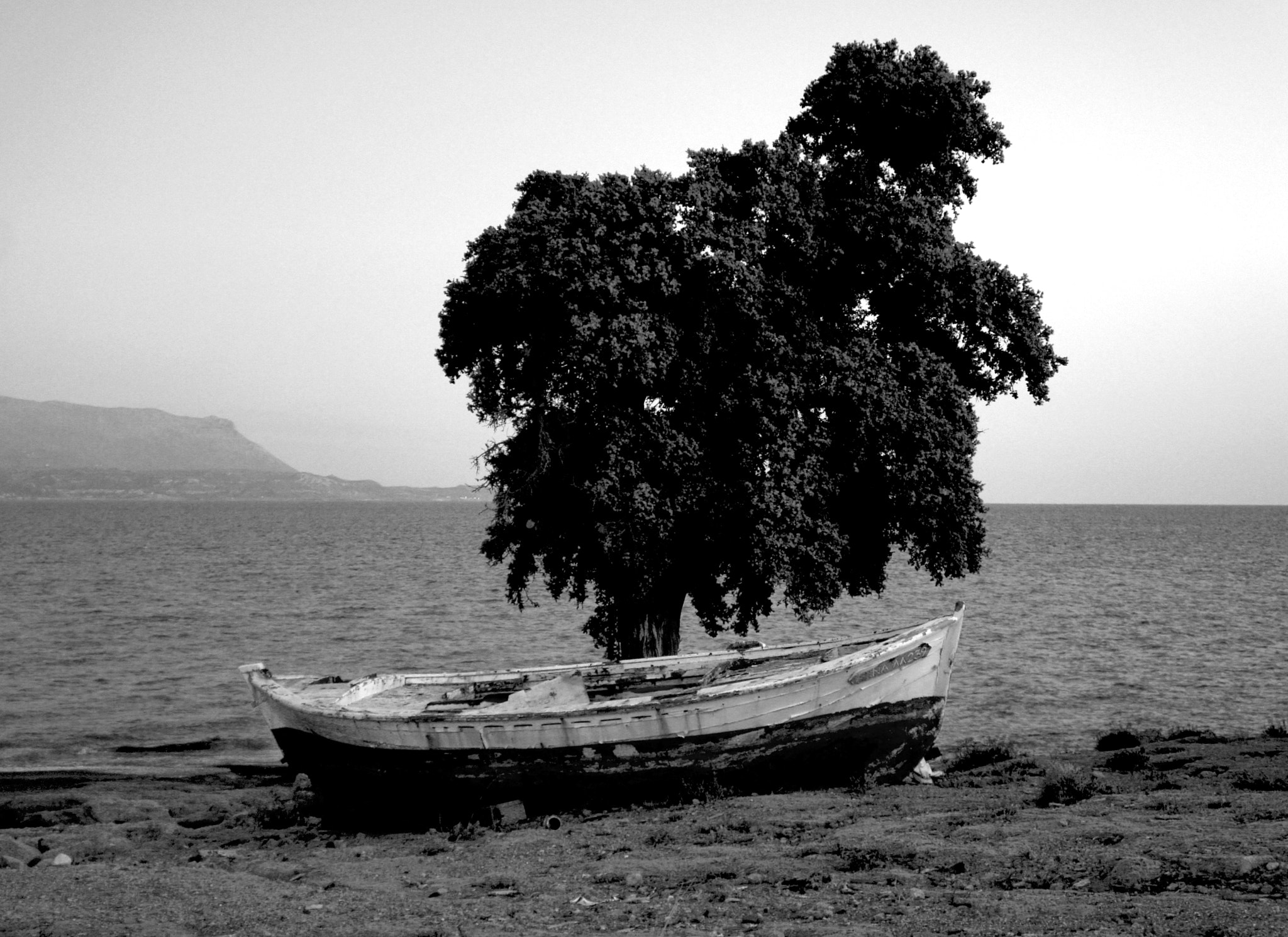 Sony Alpha NEX-5 + Tamron 18-200mm F3.5-6.3 Di III VC sample photo. The boat and the tree.. photography