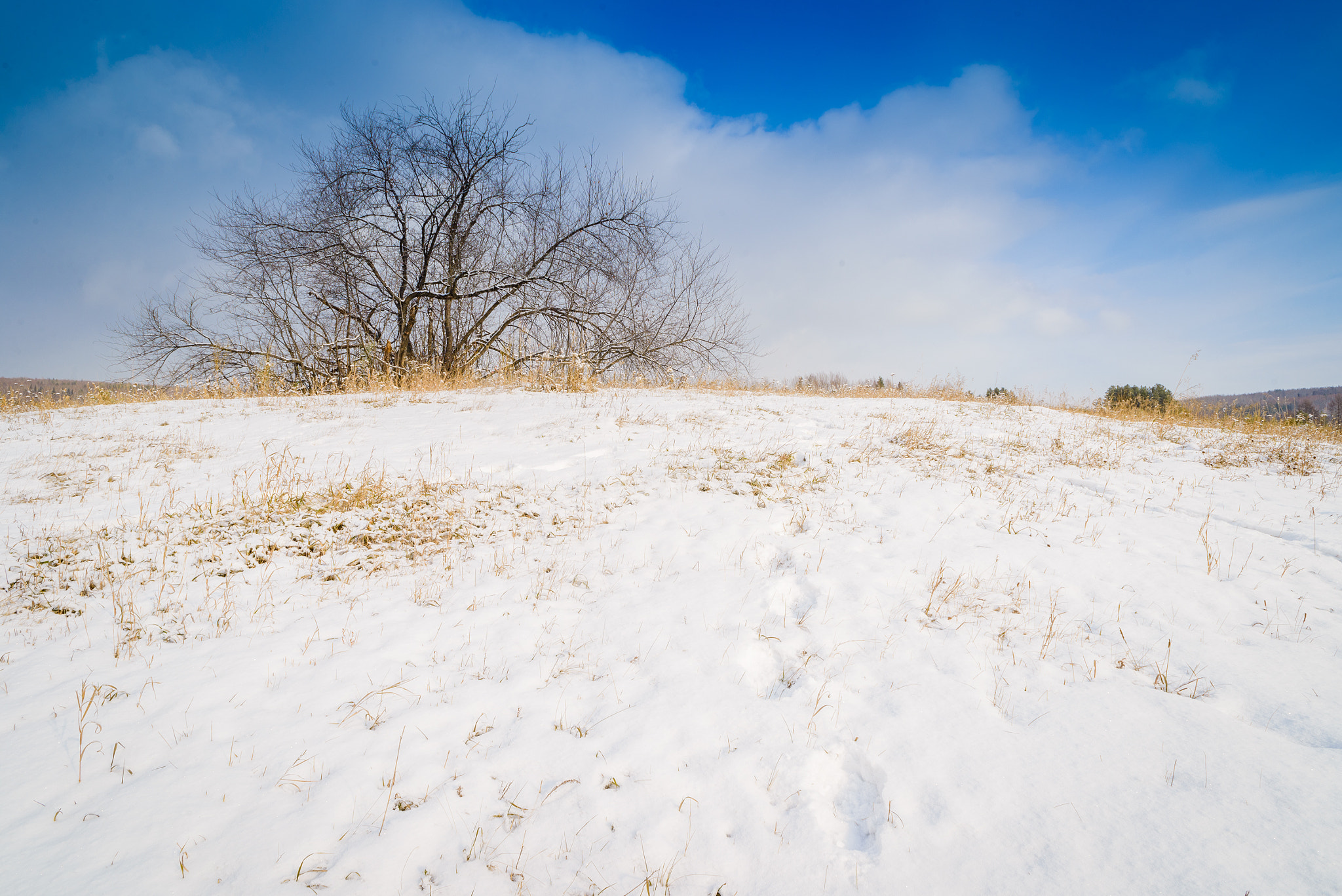 Nikon D610 + AF Nikkor 20mm f/2.8 sample photo. *** photography