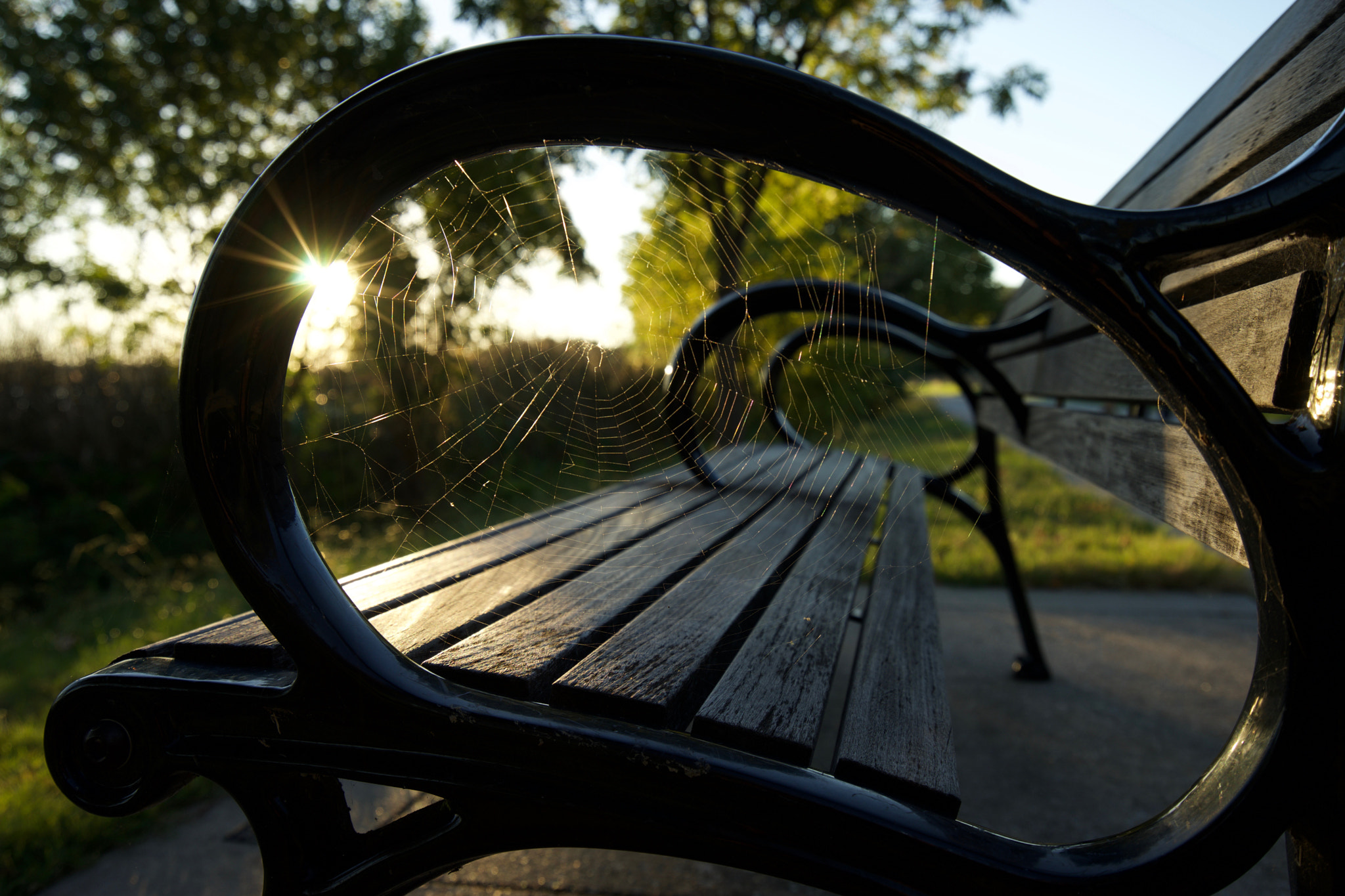 Sony a7 sample photo. White rock lake photography