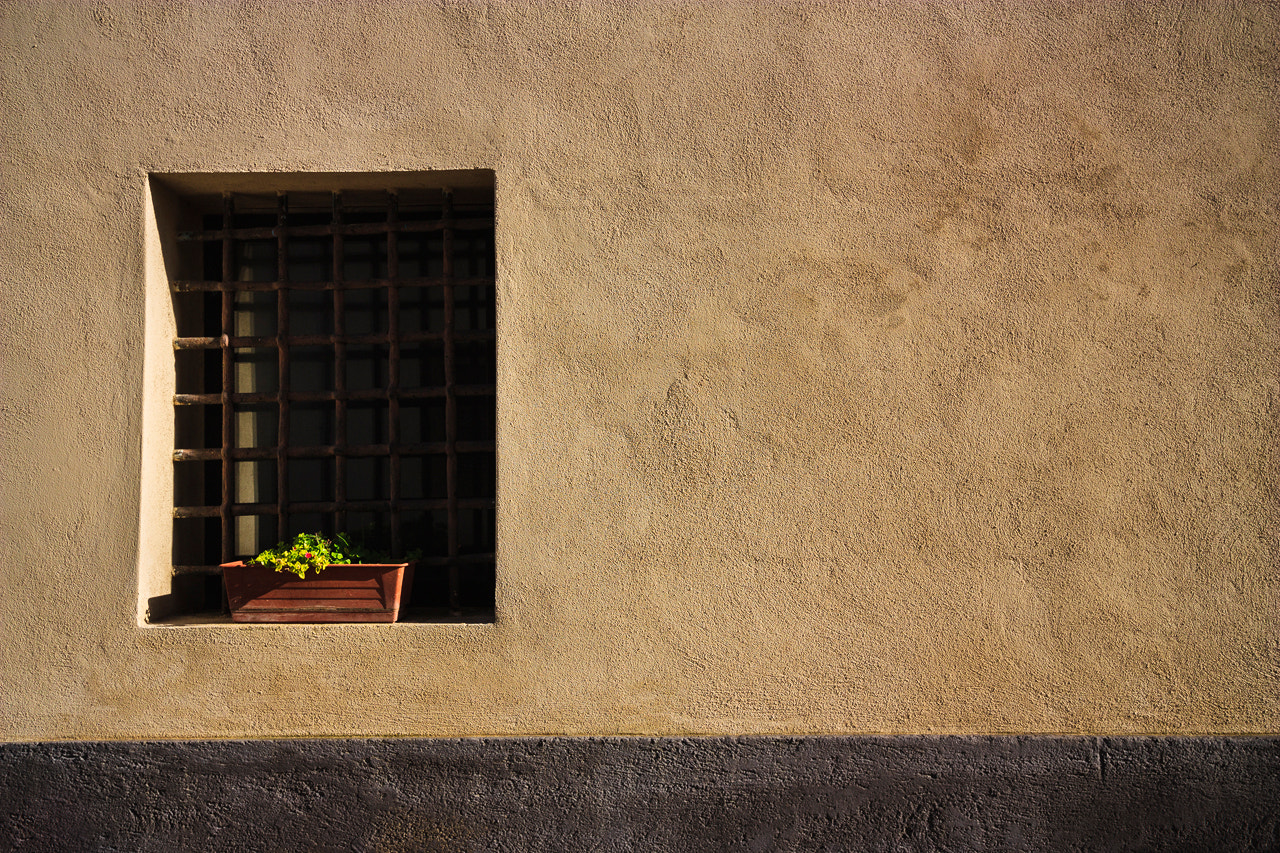 Sigma 10-20mm F3.5 EX DC HSM sample photo. Window photography