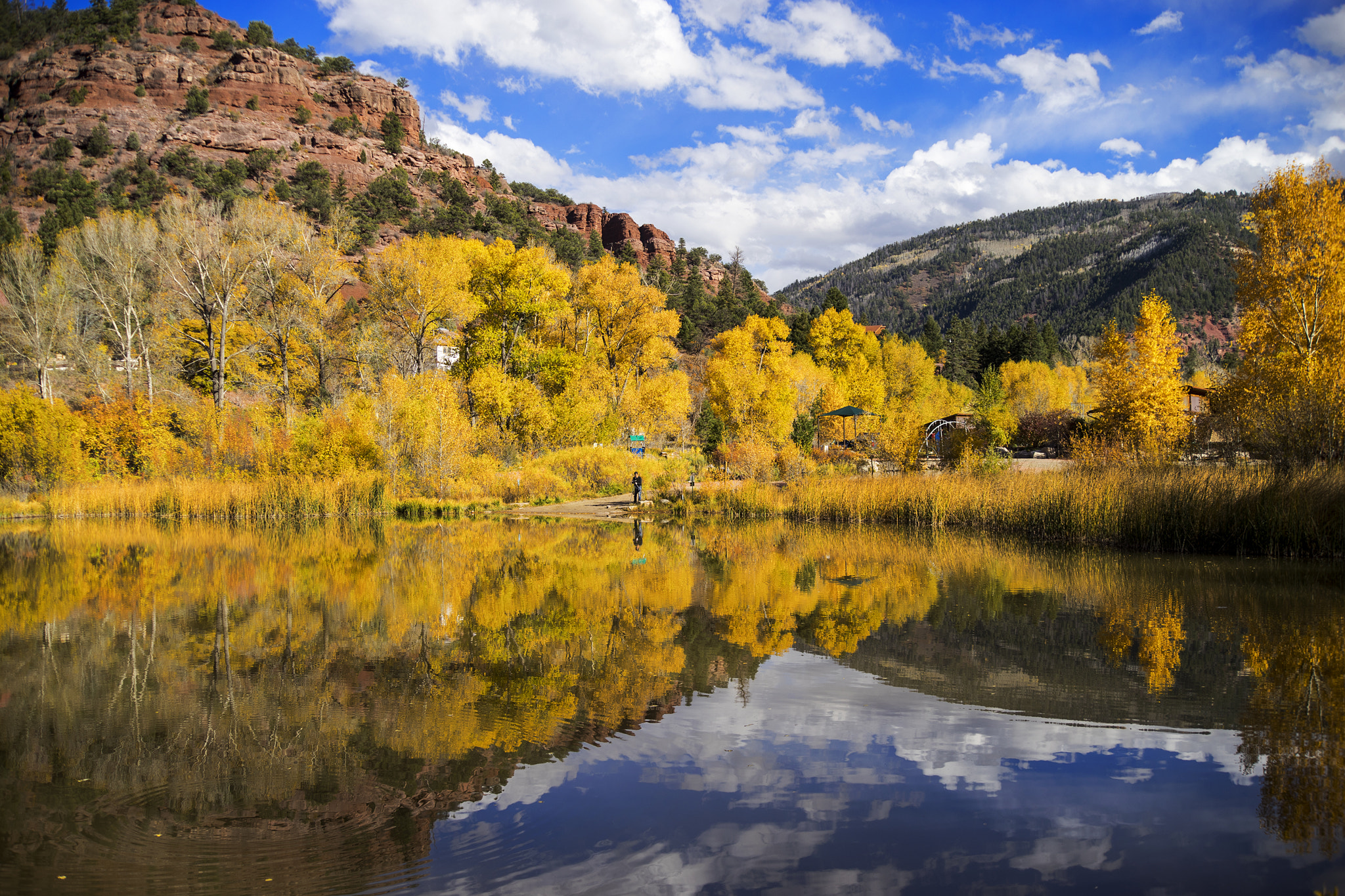 Sony a7 + 35-70mm F4 sample photo. Fall foliage photography