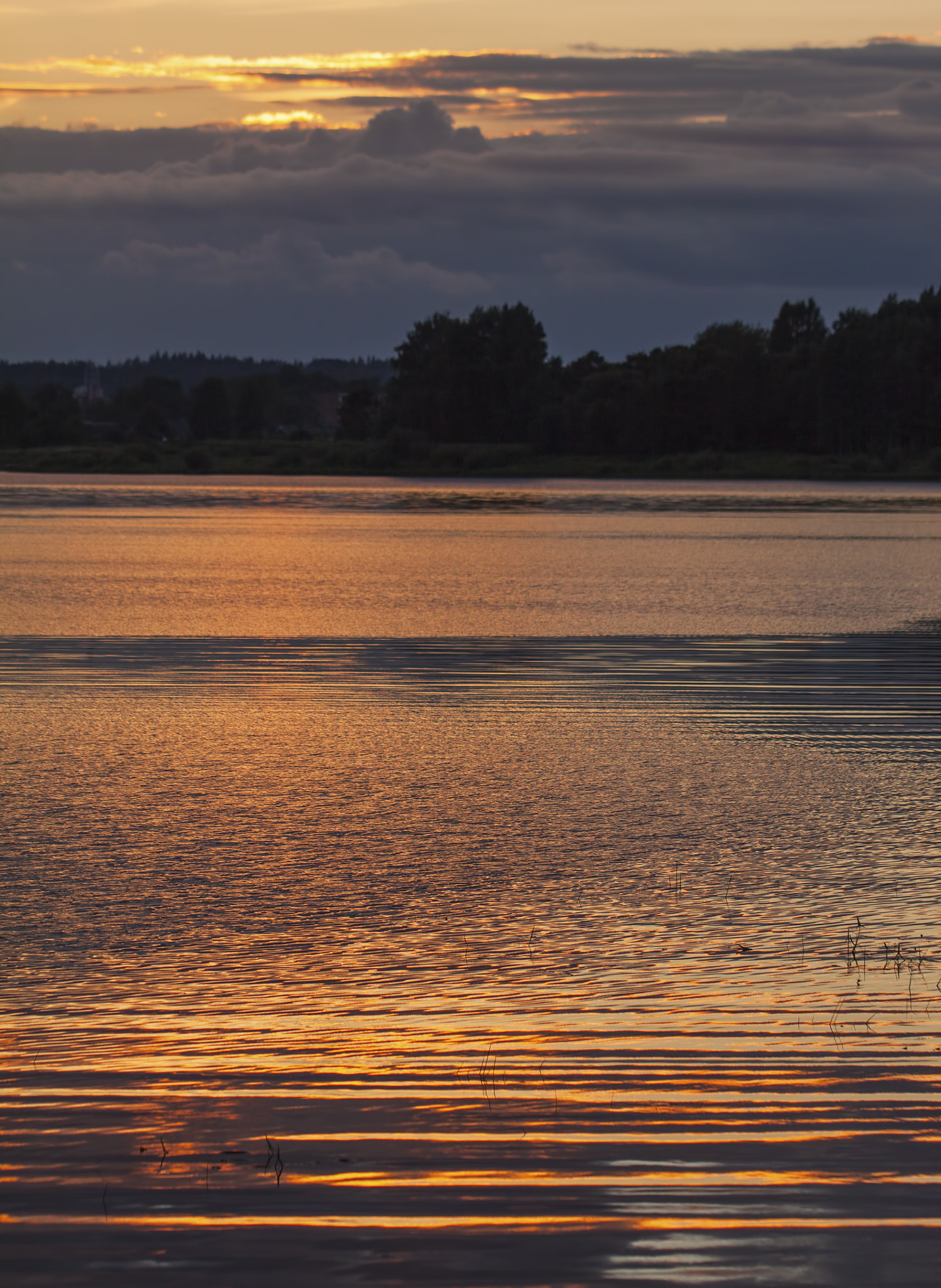 Canon EF 100mm F2.8L Macro IS USM sample photo. Evening mood photography