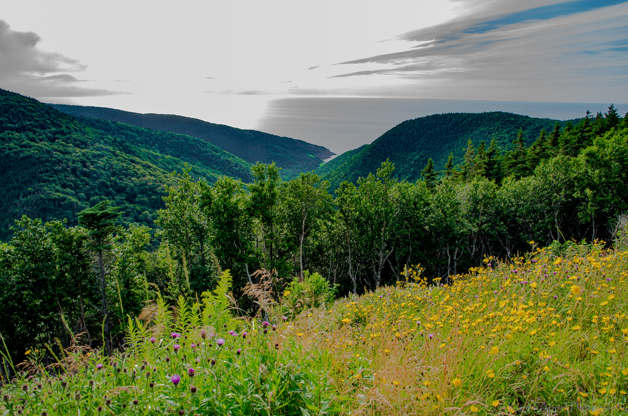 Pentax K-5 IIs sample photo. Cape breton national park photography