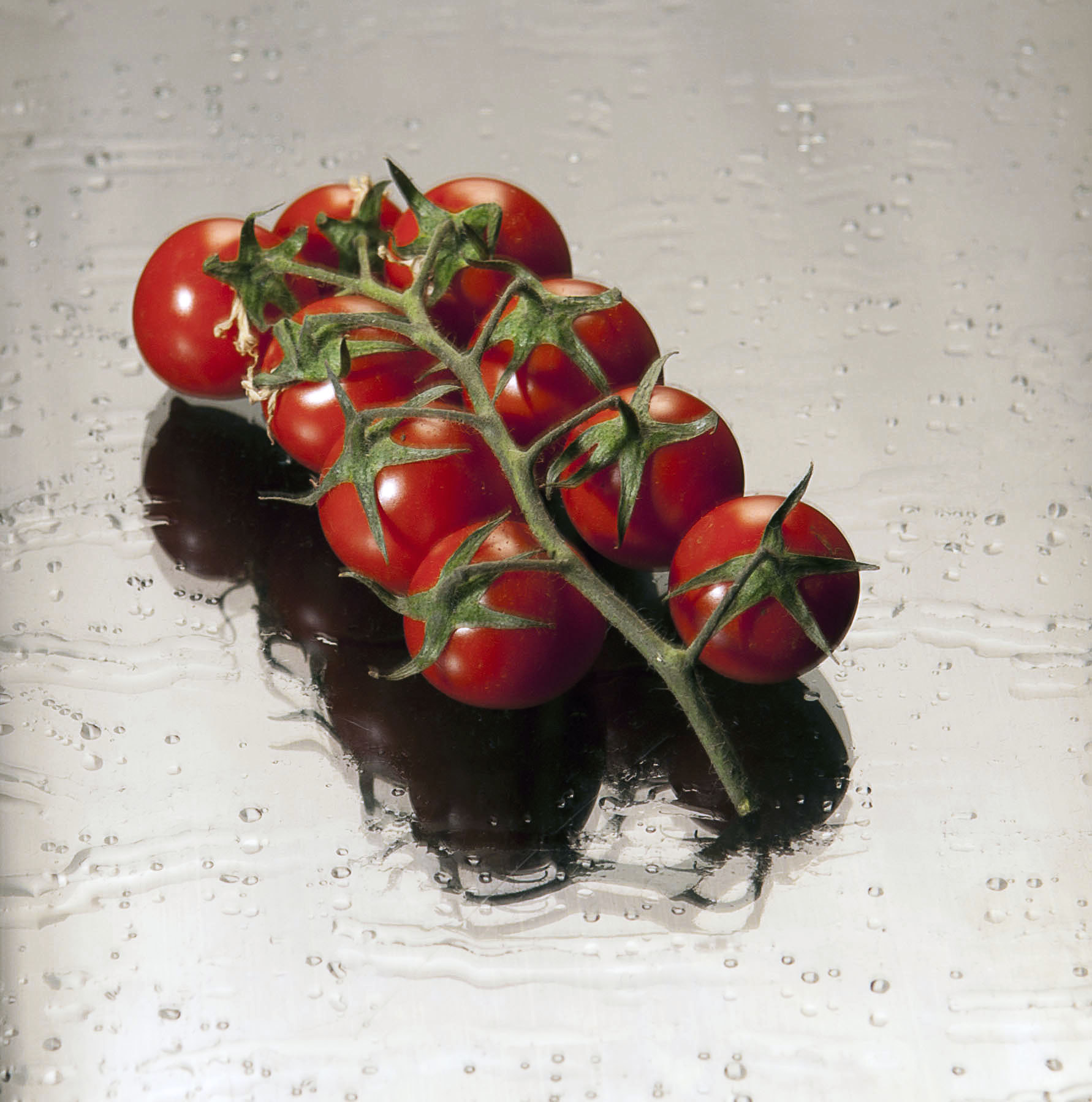 Nikon D200 sample photo. Cherry under rain photography