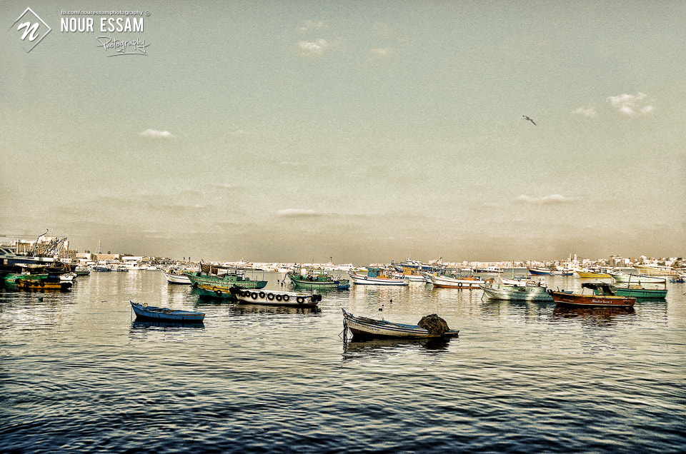 Sigma 18-250mm F3.5-6.3 DC OS HSM sample photo. Alexandria shore photography