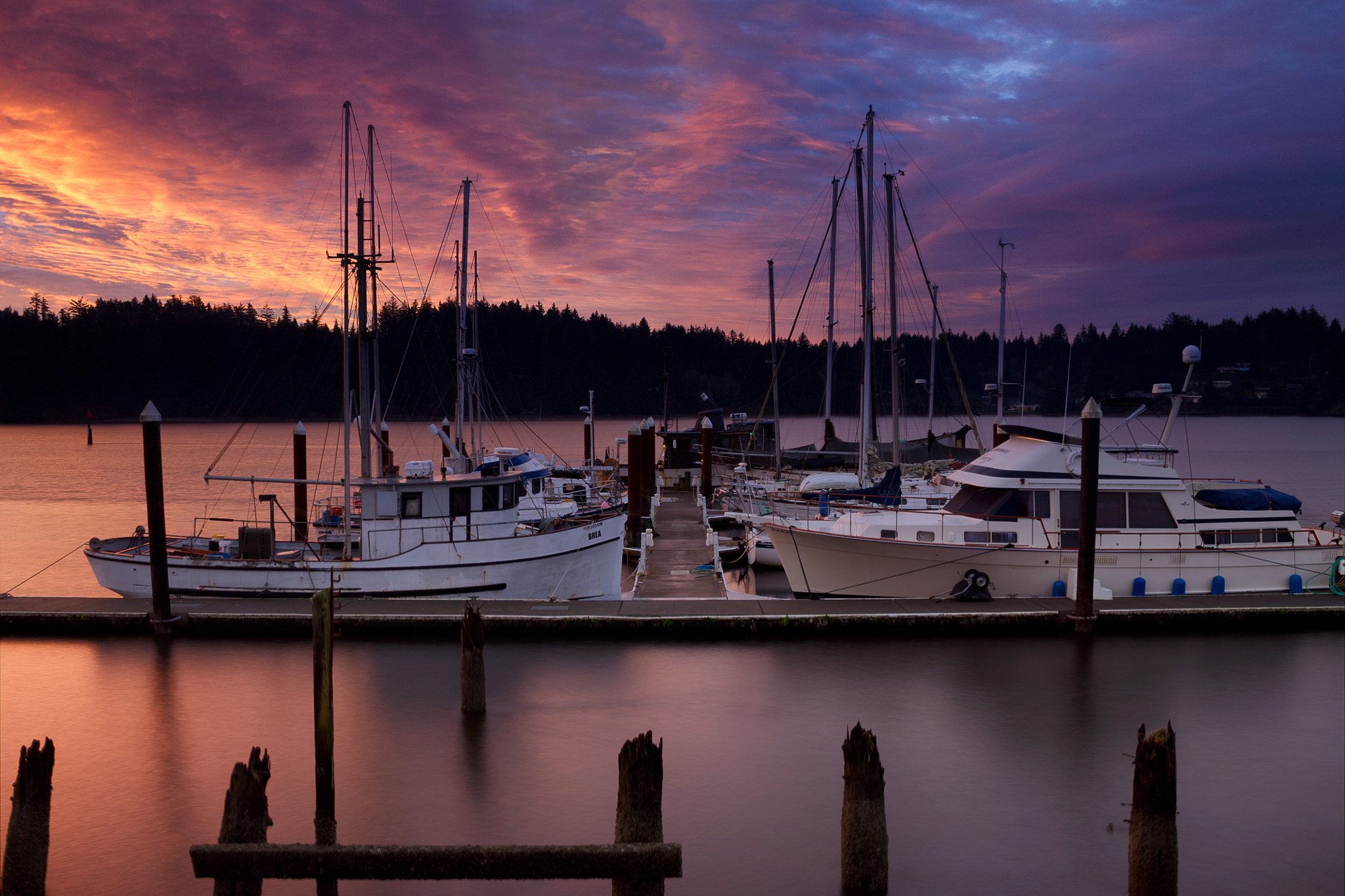 Canon EF-S 18-55mm F3.5-5.6 II sample photo. Port of siuslaw photography