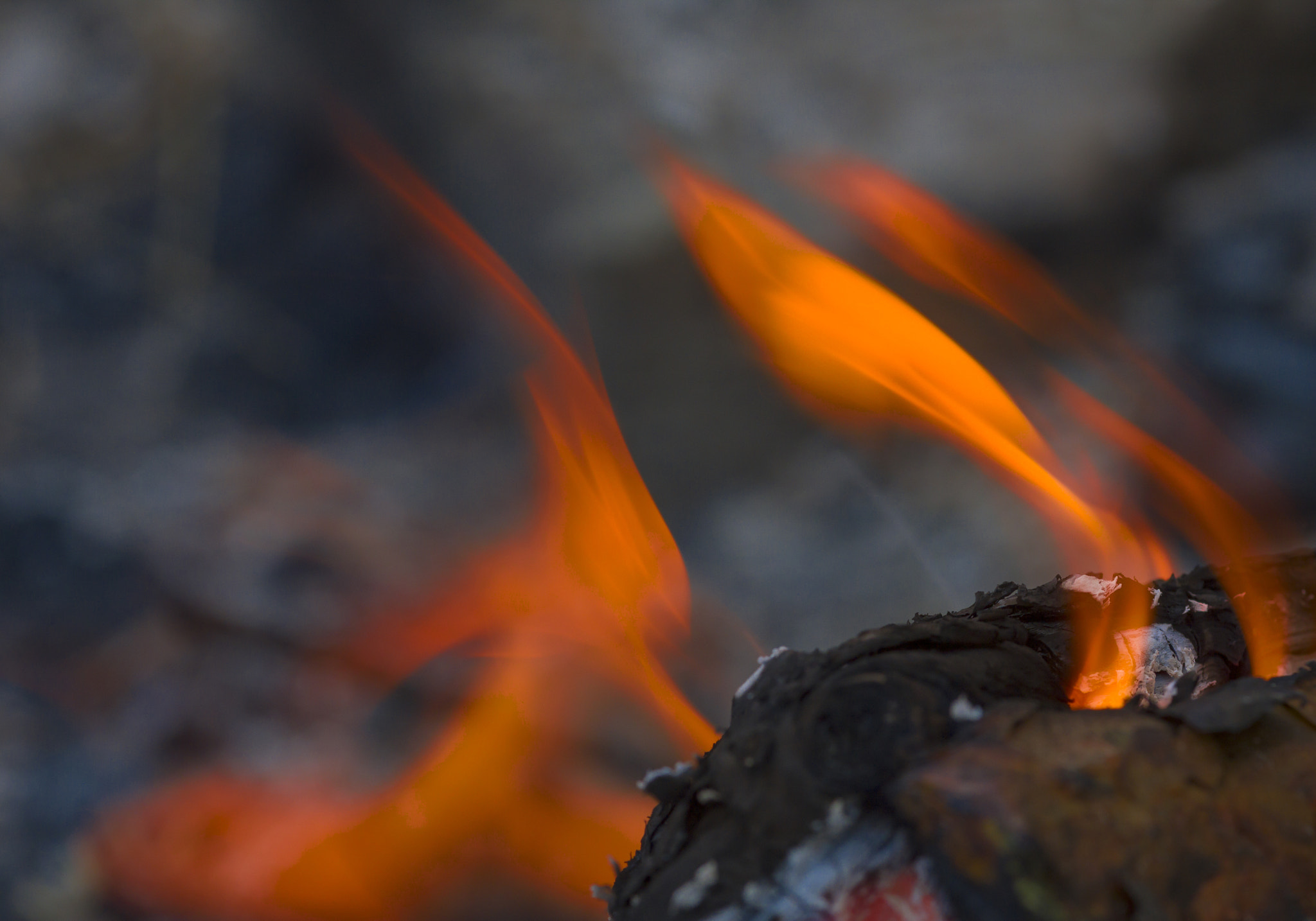 Sigma 105mm F2.8 EX DG Macro sample photo. Пламя photography