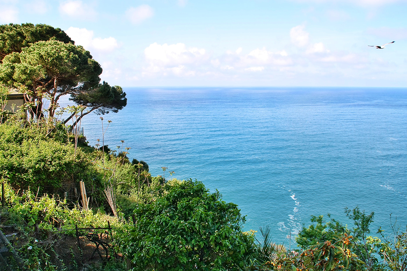 Canon 18-200mm sample photo. Endless sea photography