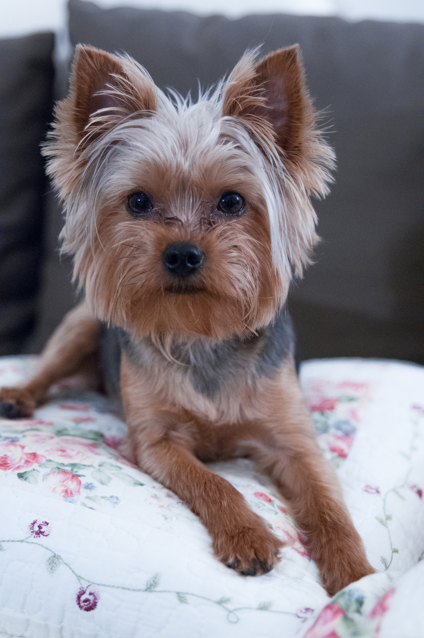 Sigma 24-70mm F2.8 EX DG HSM sample photo. Dsc photography