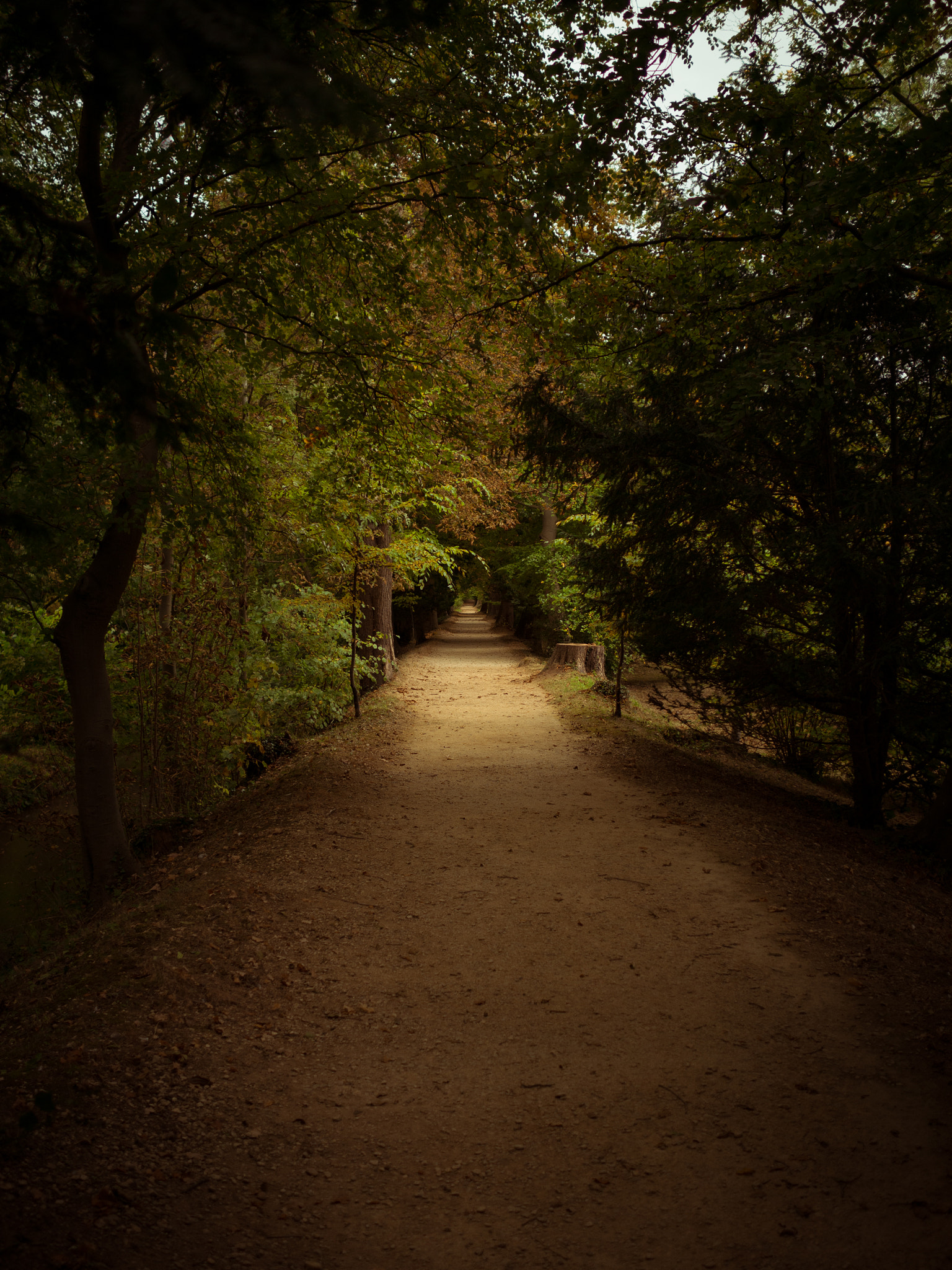 Olympus OM-D E-M10 II + Olympus M.Zuiko Digital 17mm F1.8 sample photo. Magdalen deer park, oxford photography