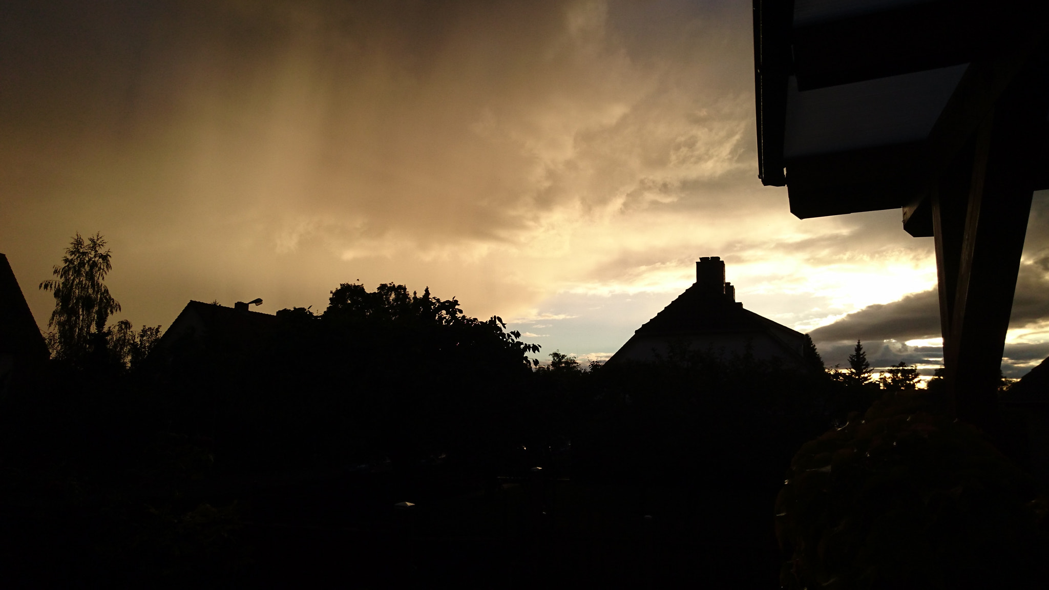 Sony Xperia Z3+ sample photo. Dark gold  photography