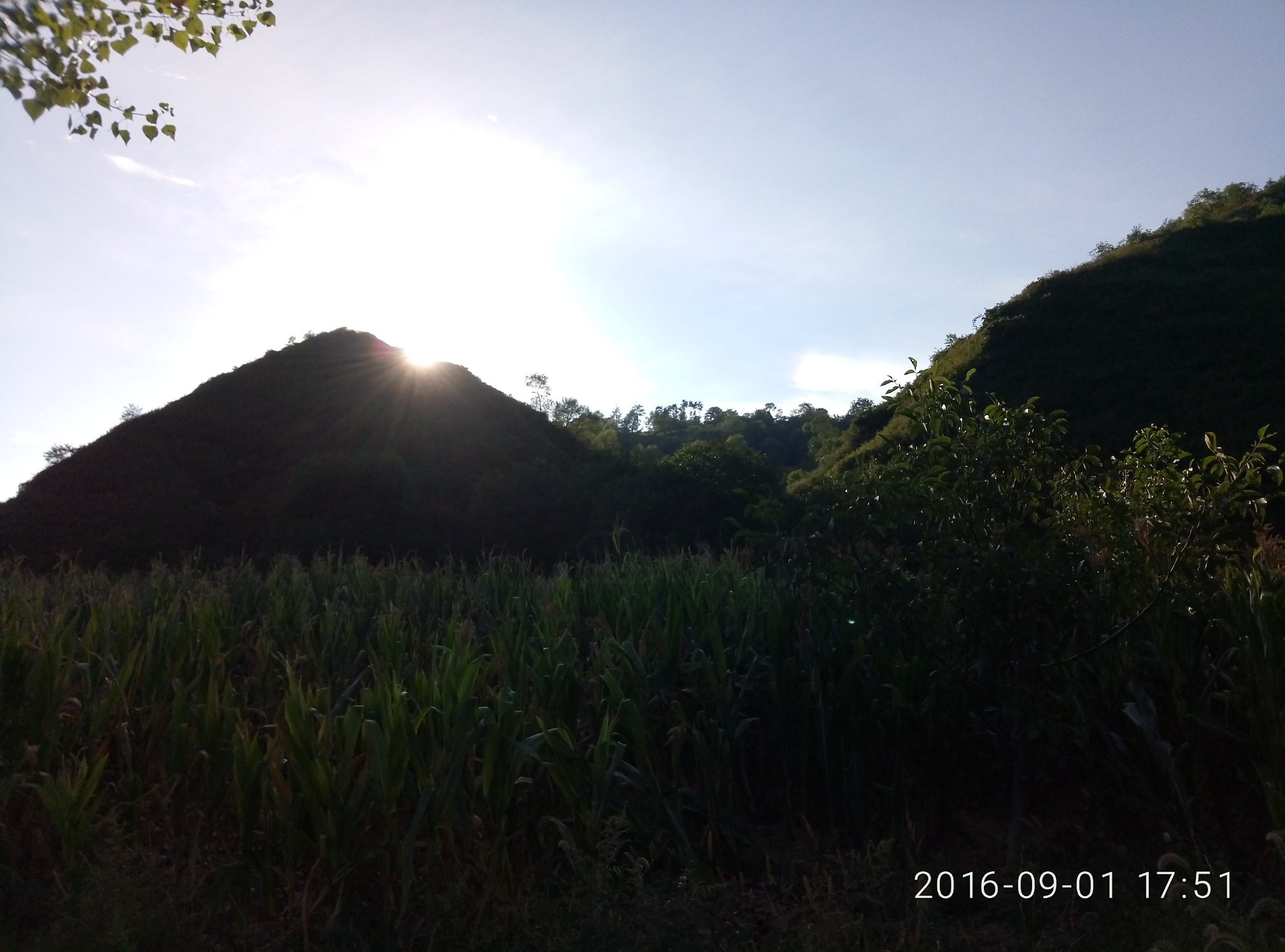 Meizu M1 E sample photo