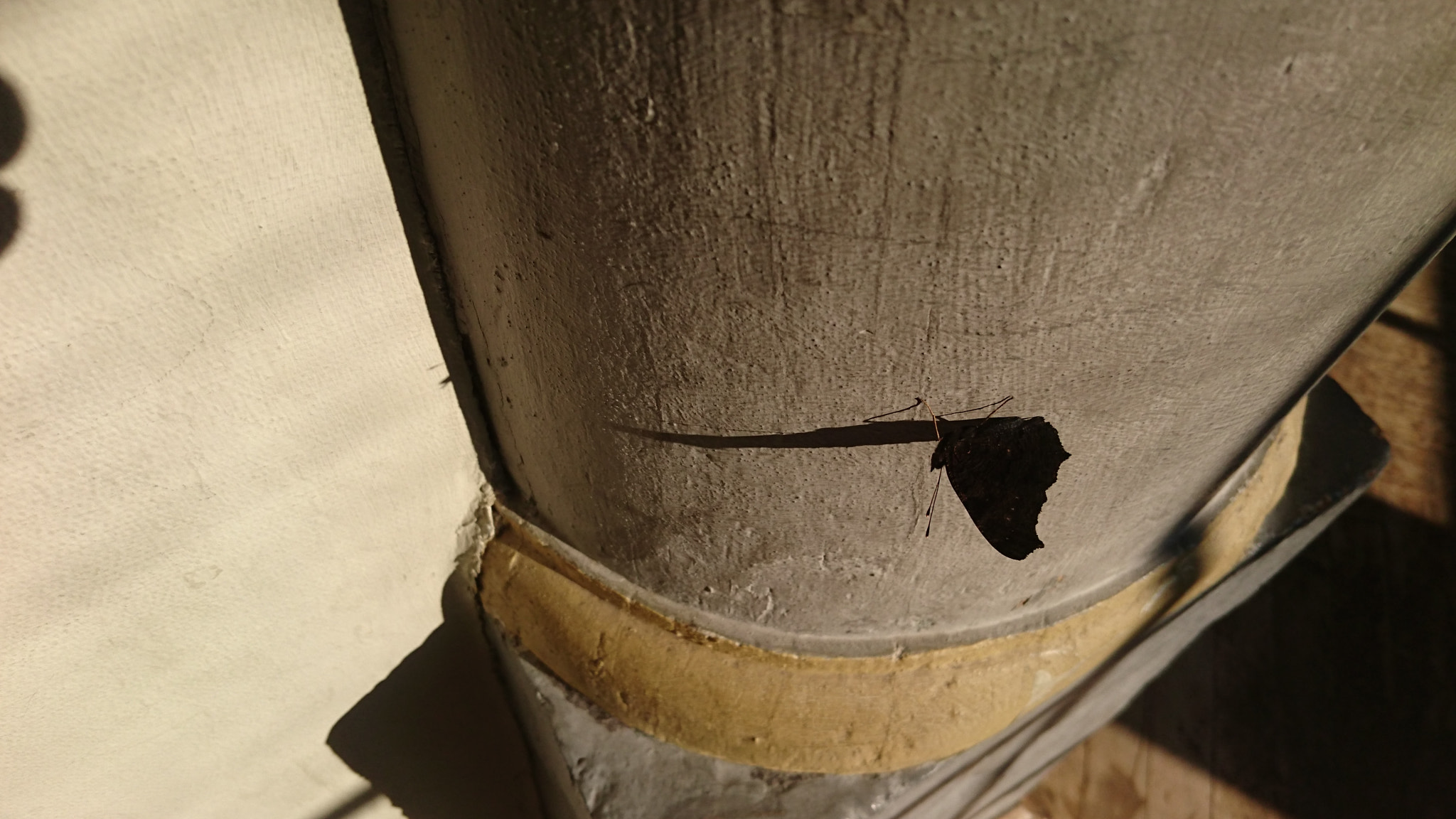 Sony Xperia Z3+ sample photo. Shadows photography
