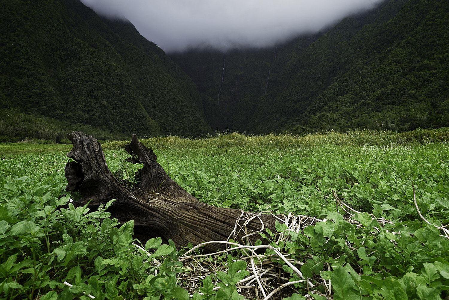 Canon EF 16-35mm F4L IS USM sample photo. Grand etang photography