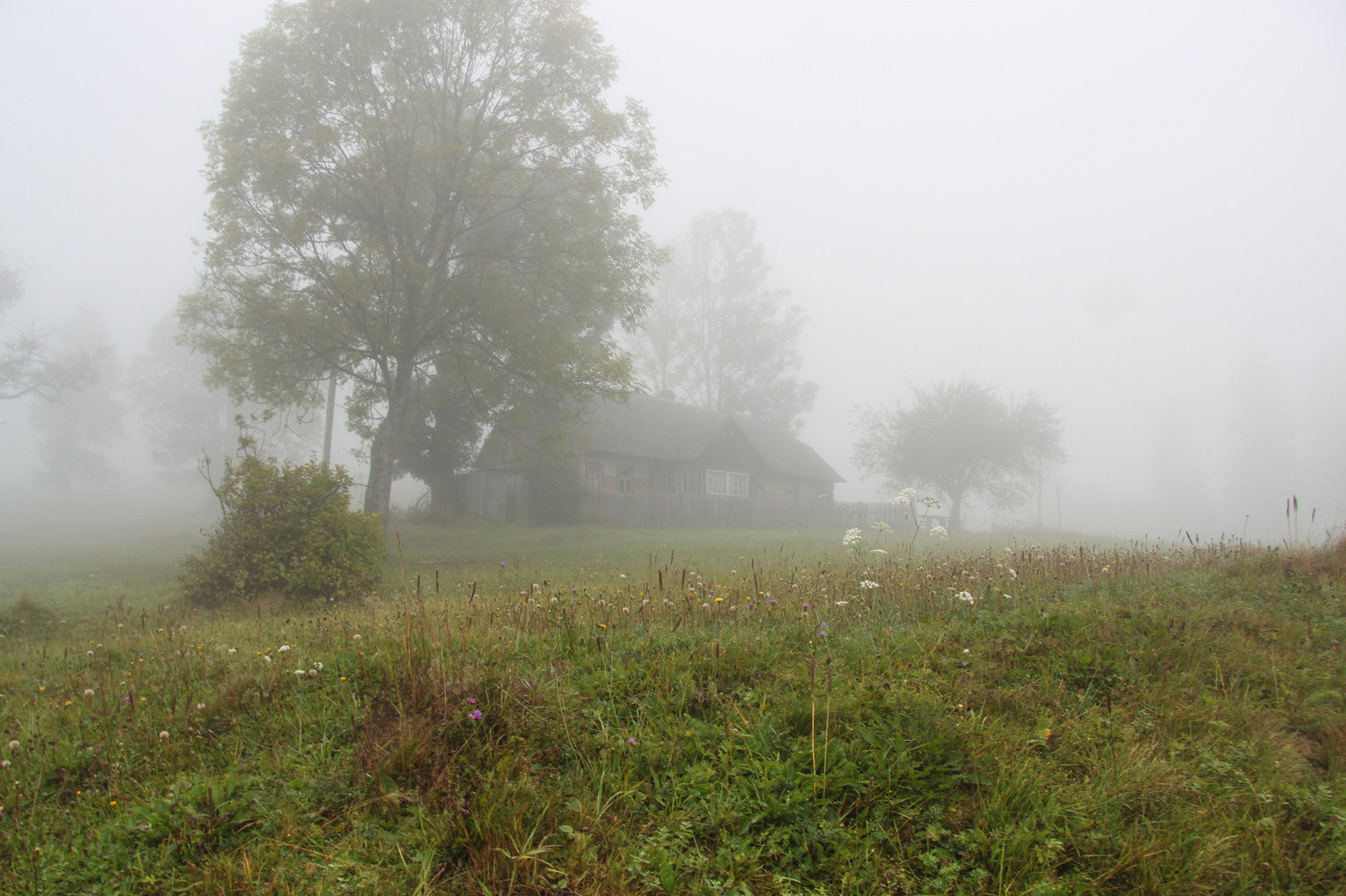 Canon EF-S 17-85mm F4-5.6 IS USM sample photo. Foggy morning in carpathian village photography