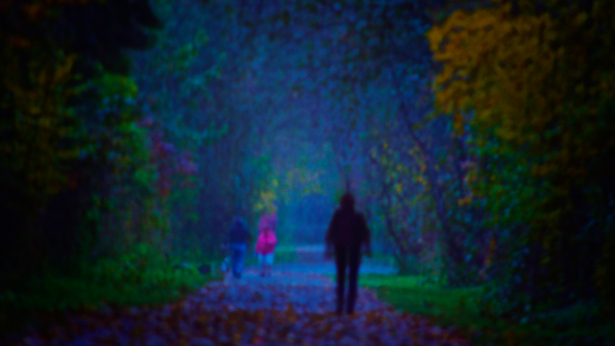 Pentax smc DA 55-300mm F4.0-5.8 ED sample photo. Who's got your back photography