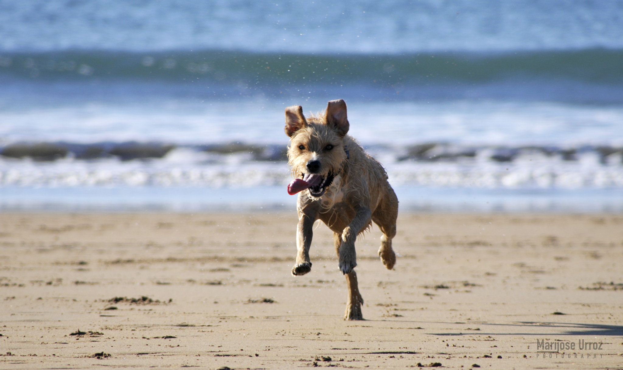 Nikon D300 sample photo. Enjoying the beach photography