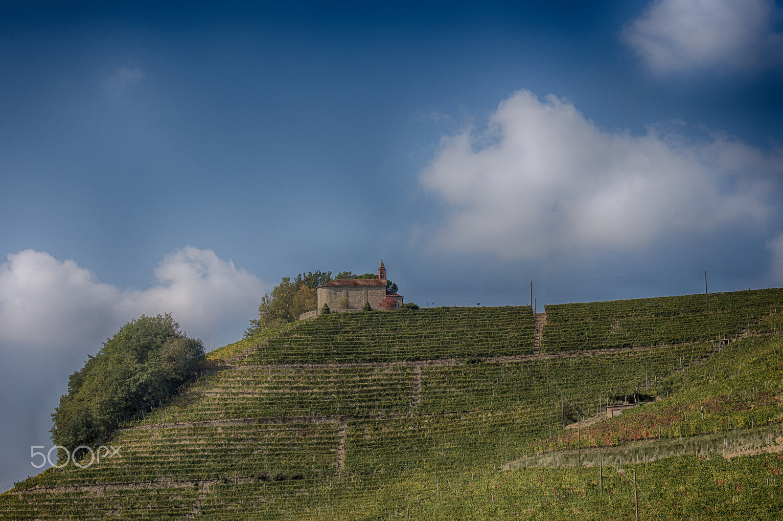 OLYMPUS M.14-150mm F4.0-5.6 II sample photo. The wine hill photography