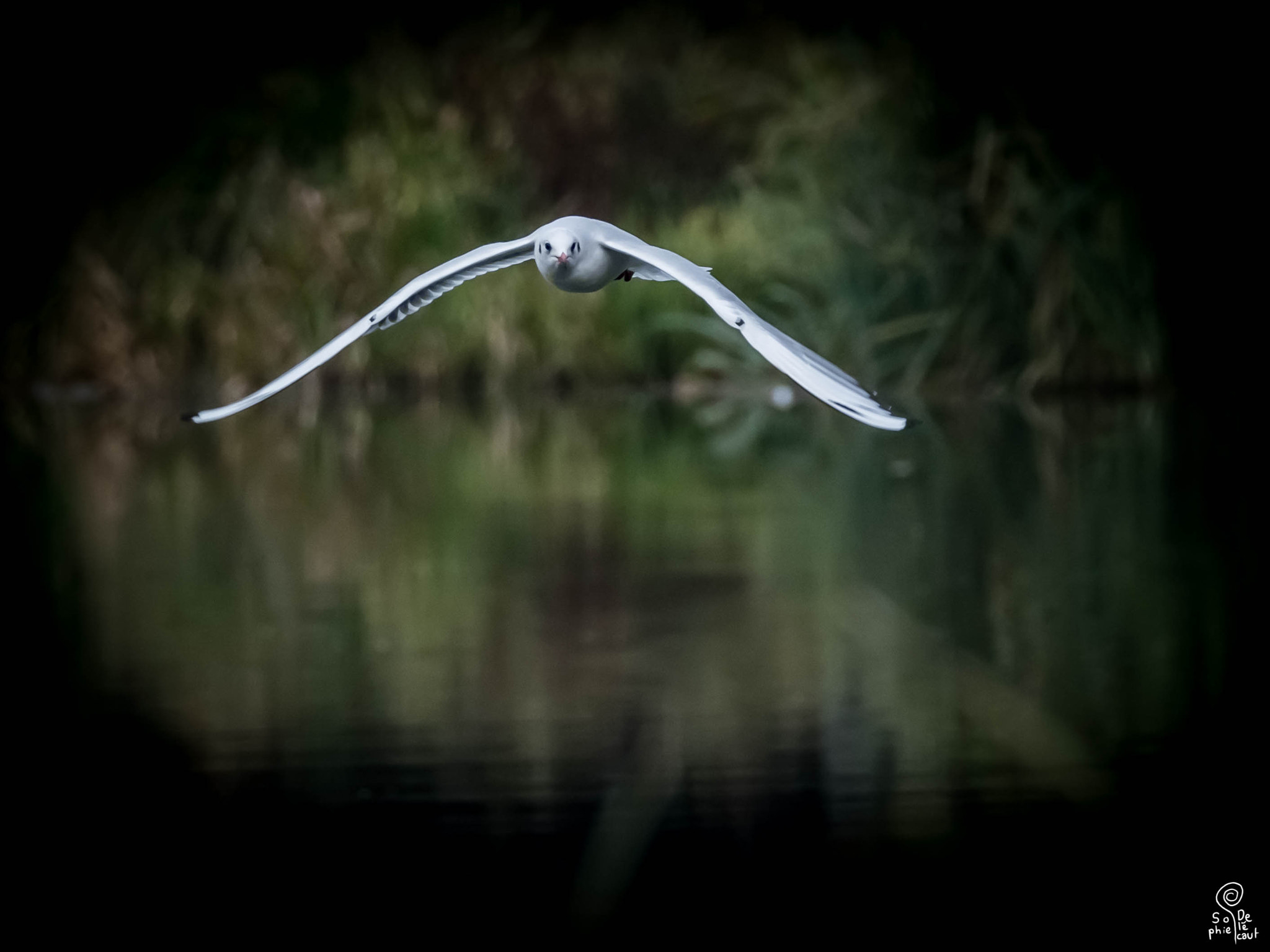 XF100-400mmF4.5-5.6 R LM OIS WR + 1.4x sample photo. Dscf photography