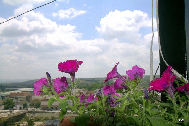 Canon EF-S 17-55mm F2.8 IS USM sample photo. Desde la terraza photography