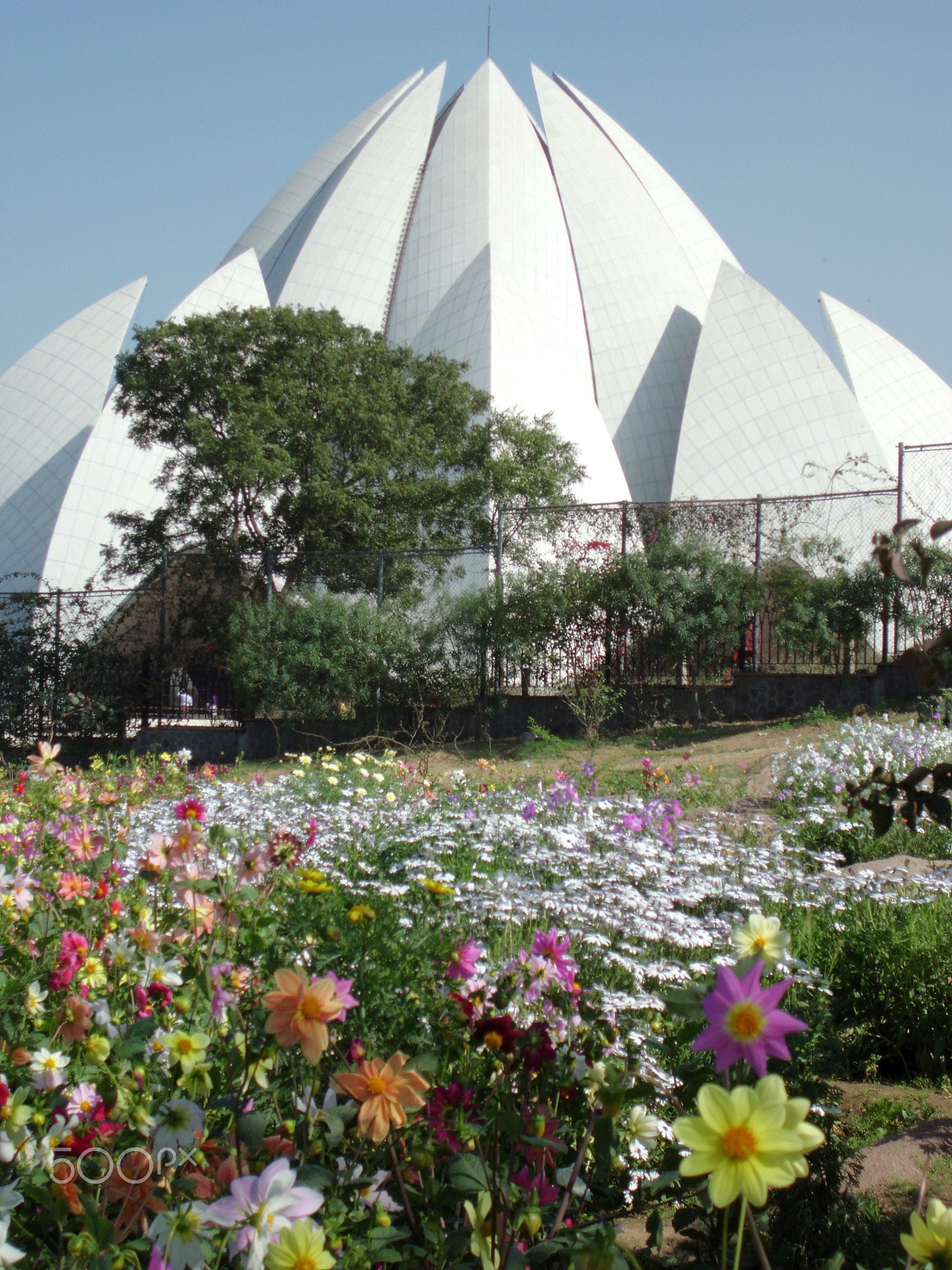 CASIO EX-ZS10 sample photo. Lotus temple baha'ii temple, new delhi photography