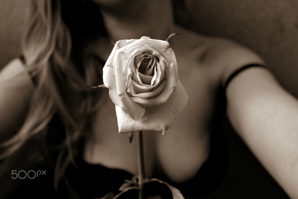 Canon EOS 600D (Rebel EOS T3i / EOS Kiss X5) + Canon EF 50mm f/1.8 sample photo. Selfportrait with a rose photography