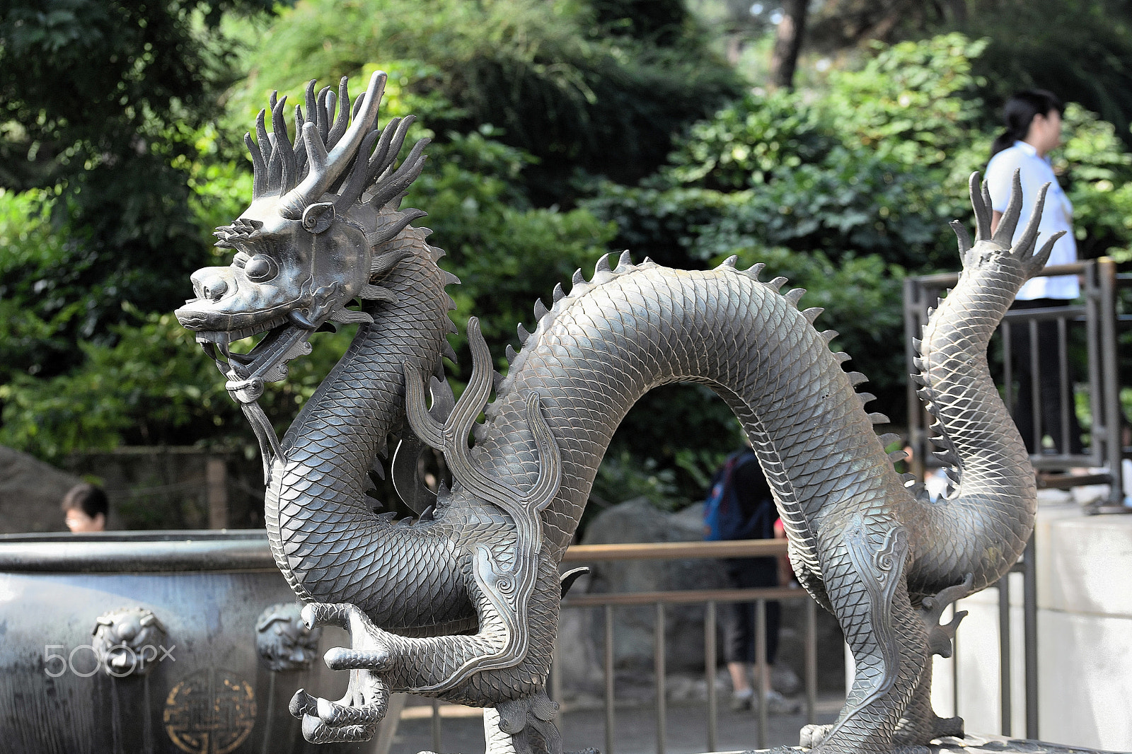 Tamron SP 70-200mm F2.8 Di VC USD sample photo. Dragon photography