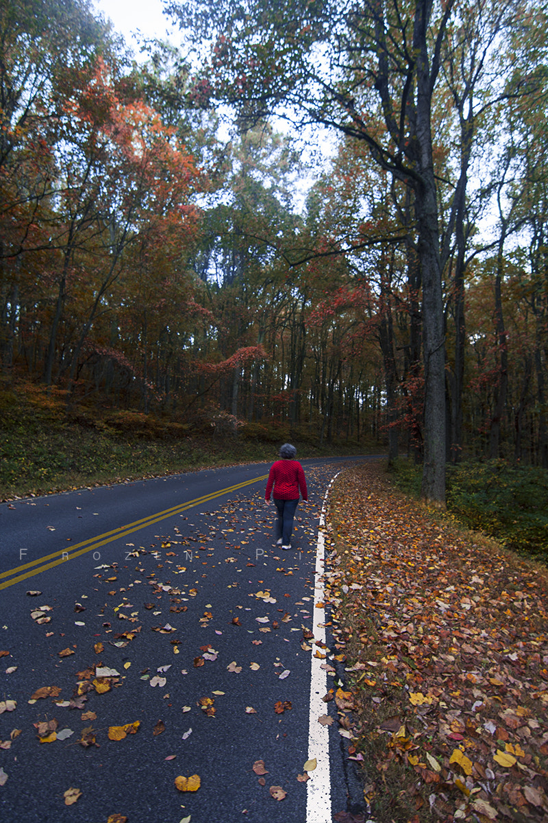 Canon EOS 40D sample photo. Fall - 2016 photography