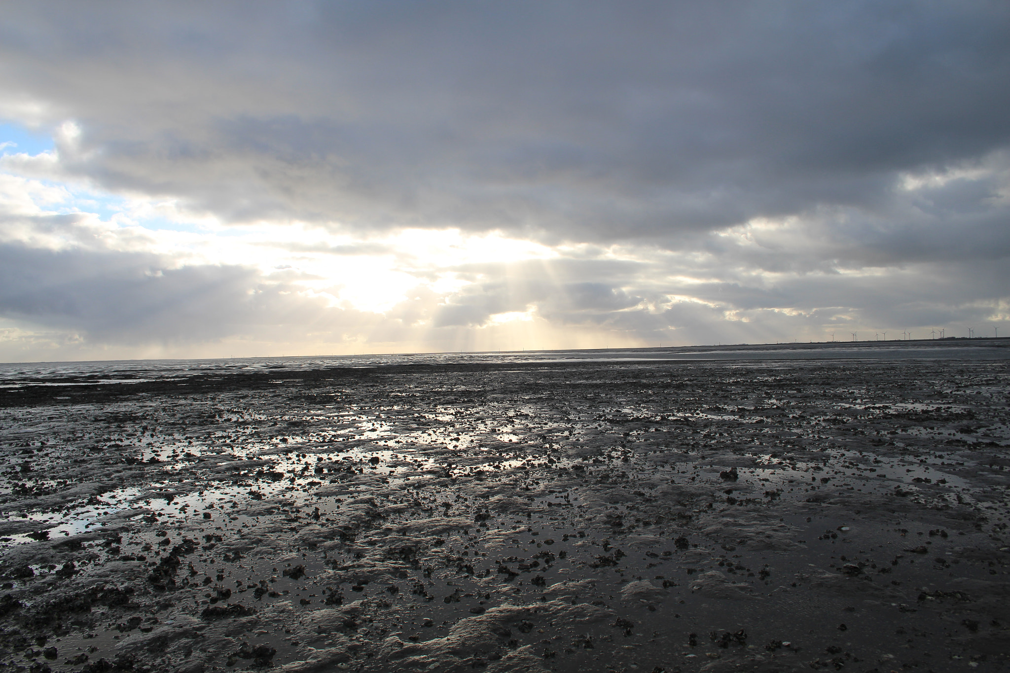 Canon EF-S 18-55mm F3.5-5.6 II sample photo. Wadden sea on way to spiekeroog photography