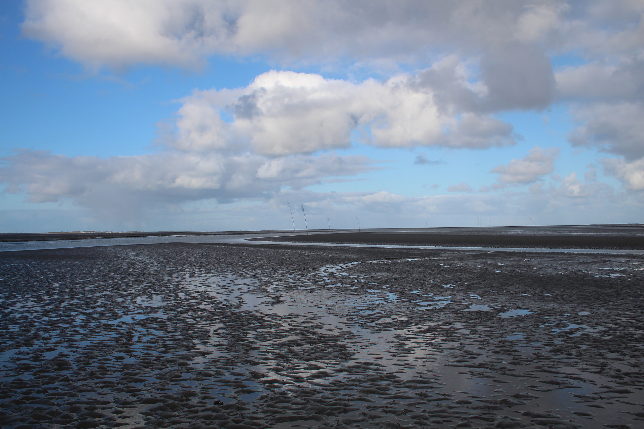 Canon EF-S 18-55mm F3.5-5.6 II sample photo. Wadden sea on way to spiekeroog photography