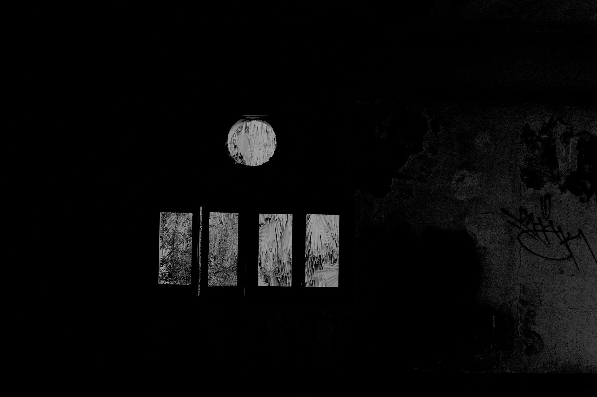 Canon EF-S 18-55mm F3.5-5.6 IS sample photo. How to scape bw#3 photography