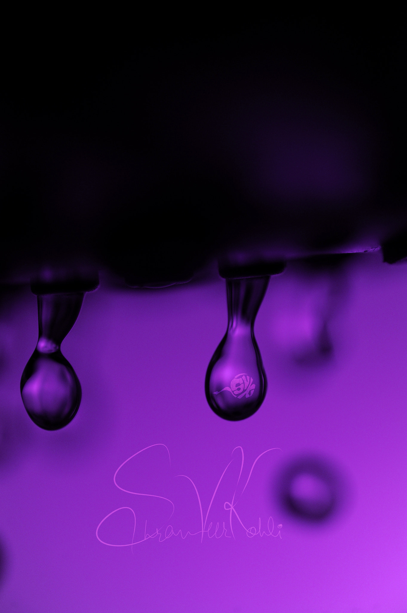 Nikon AF Micro-Nikkor 60mm F2.8D sample photo. Close up water photography