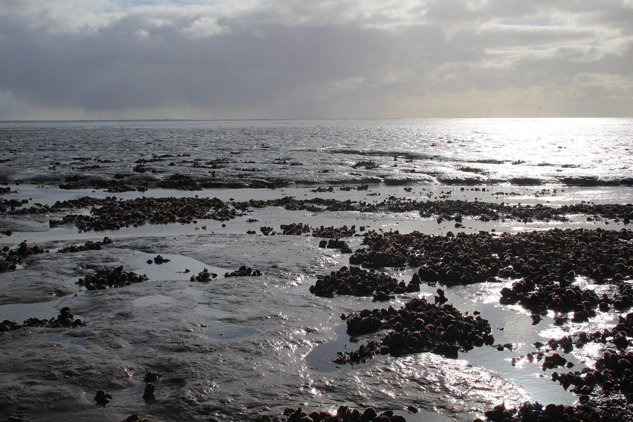 Canon EF-S 18-55mm F3.5-5.6 II sample photo. Spiekeroog, island of east frisia photography
