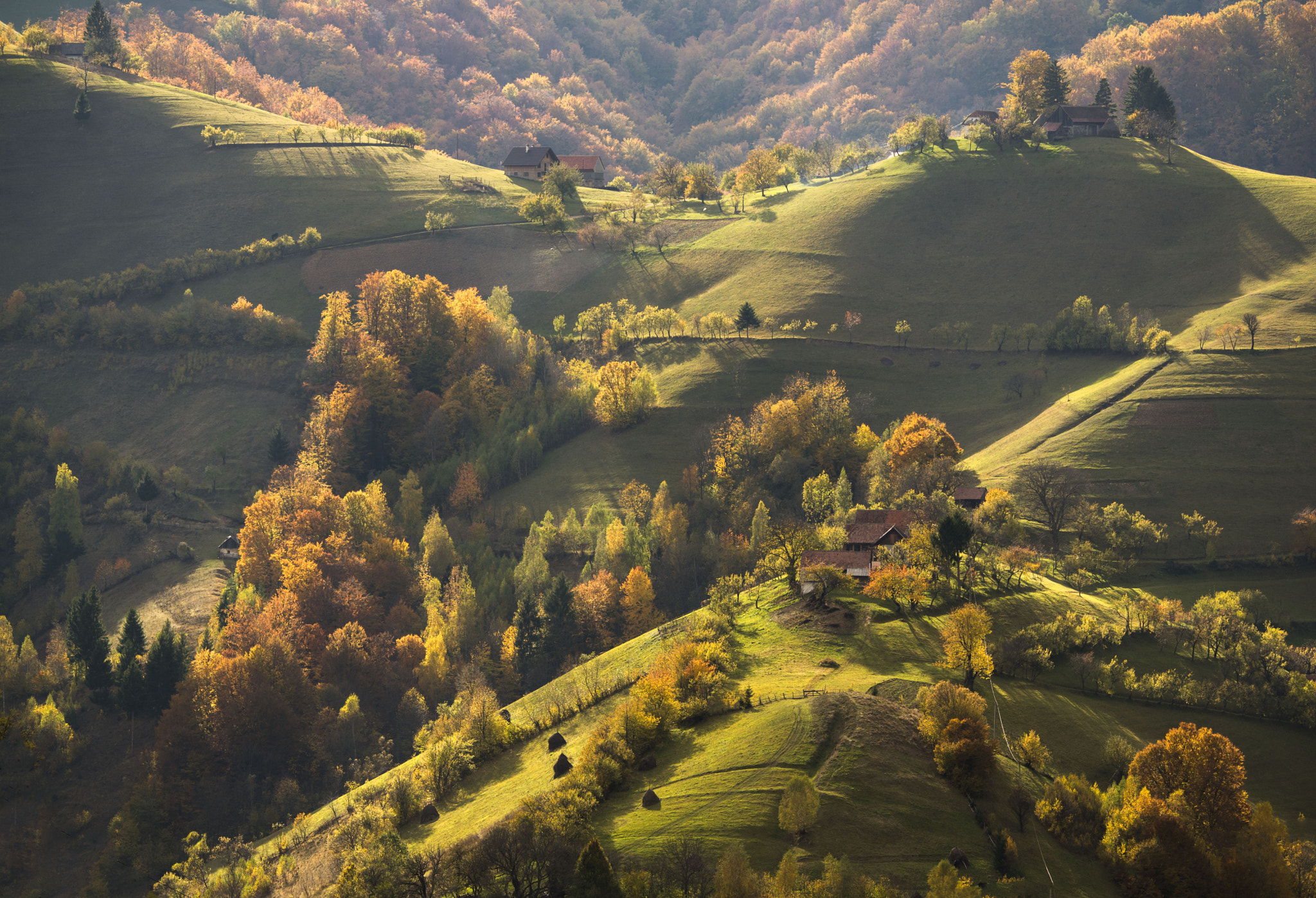 Nikon D600 sample photo. Autumn evening photography