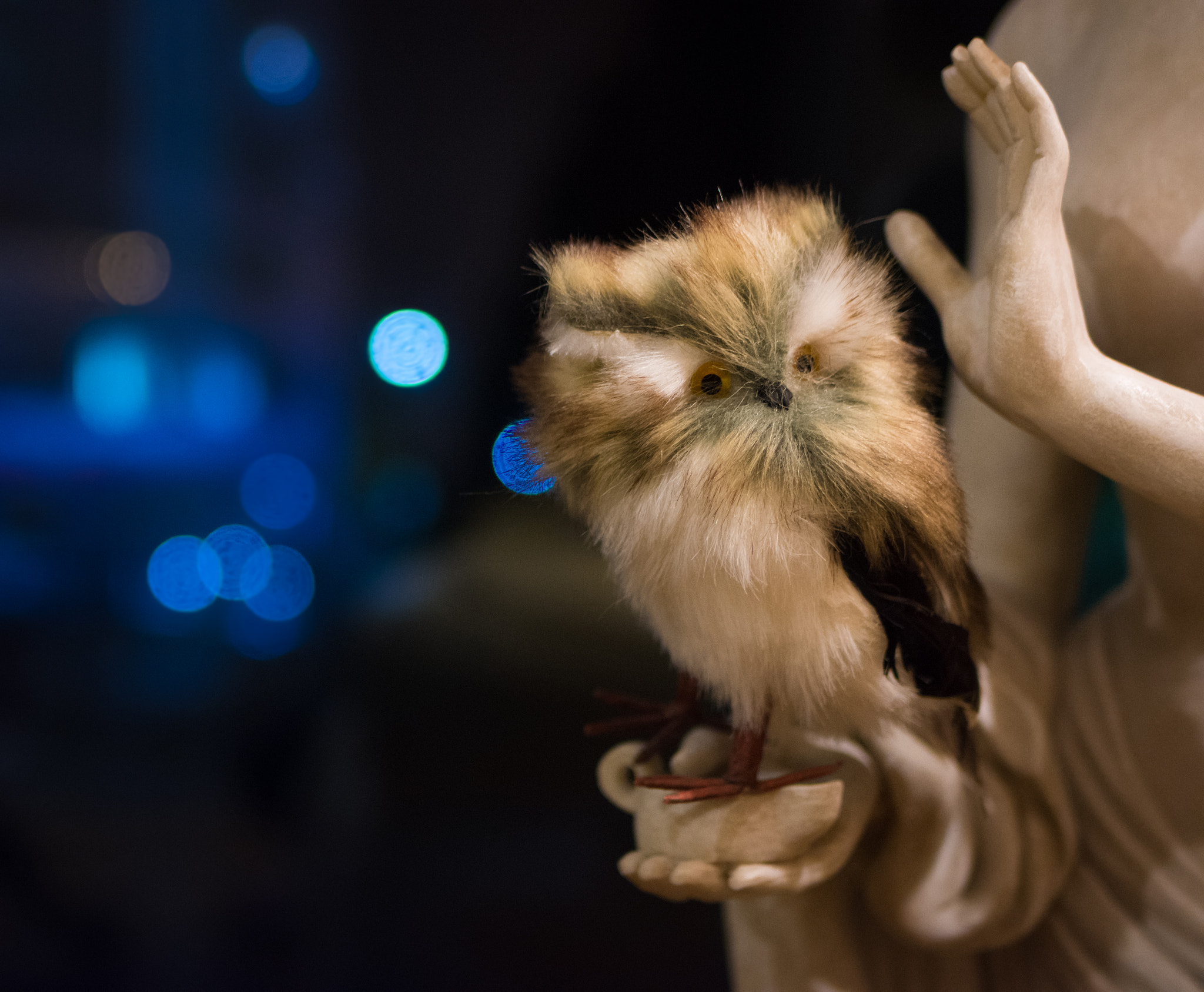 Nikon D7200 + Tamron SP 35mm F1.8 Di VC USD sample photo. The owl photography