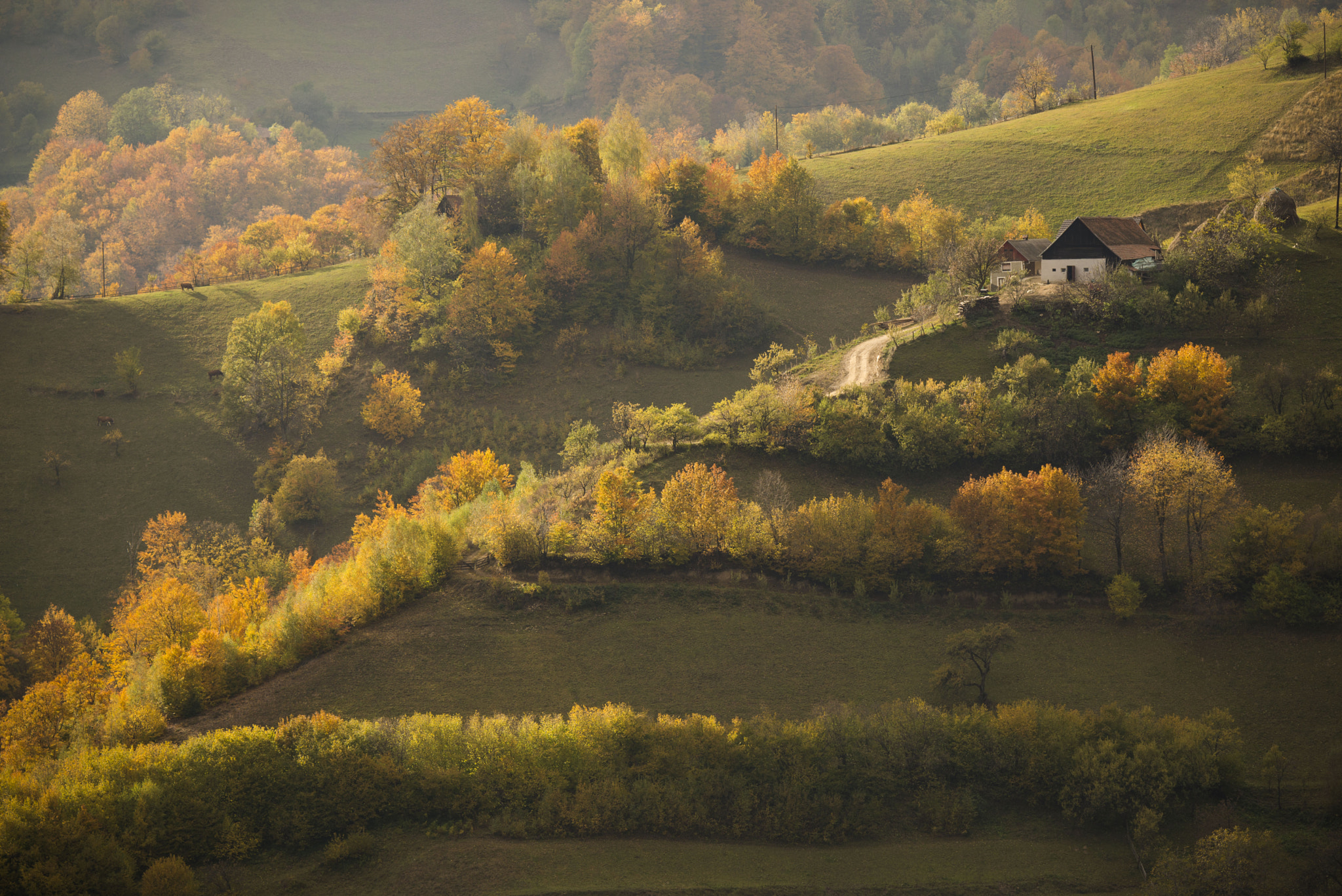 Nikon D600 sample photo. Rural house photography