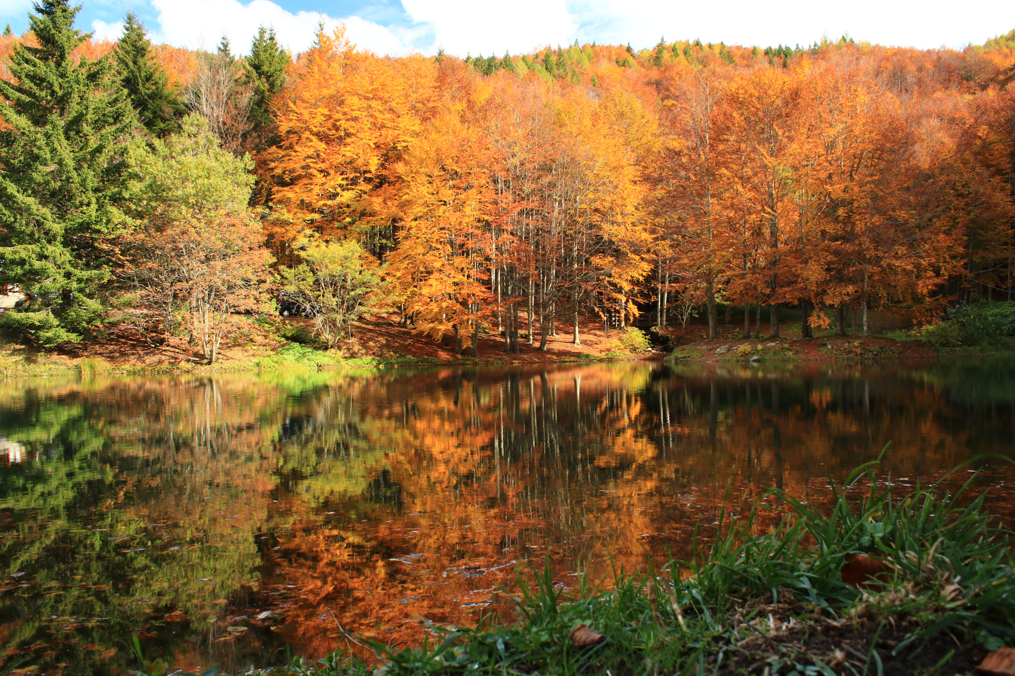 Canon EOS 760D (EOS Rebel T6s / EOS 8000D) sample photo. Colori d'autunno photography