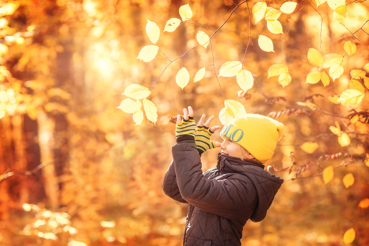 Nikon AF Nikkor 105mm F2D DC sample photo. Autumn fun photography