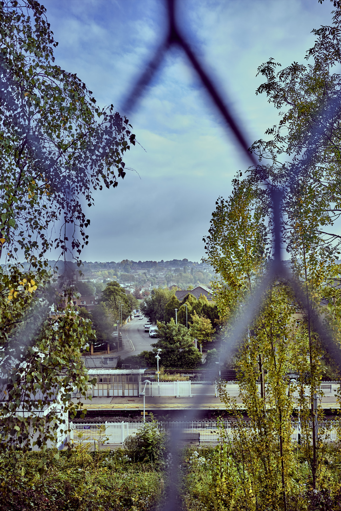 Sony Sonnar T* FE 35mm F2.8 ZA sample photo. Silence of the lambs  photography